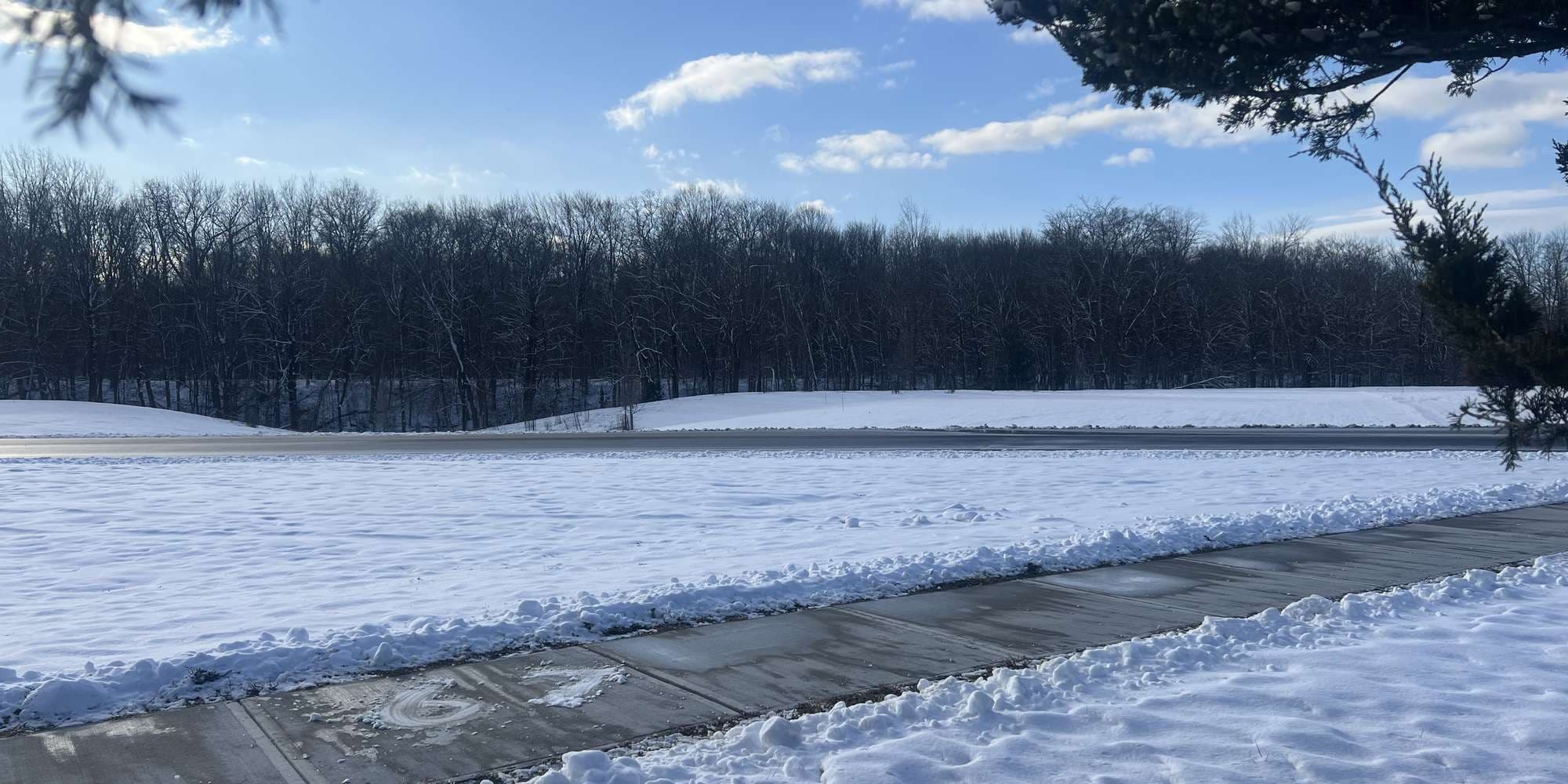 Second image to compare