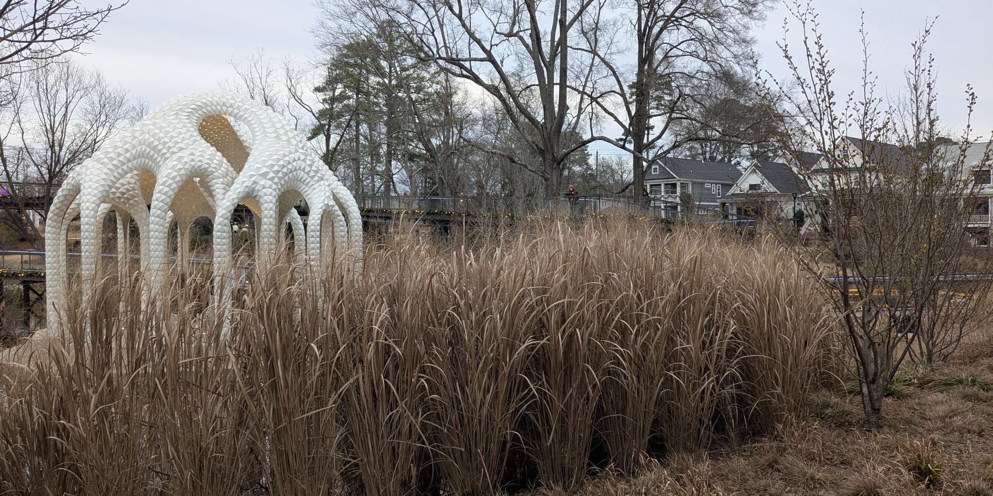 Second image to compare