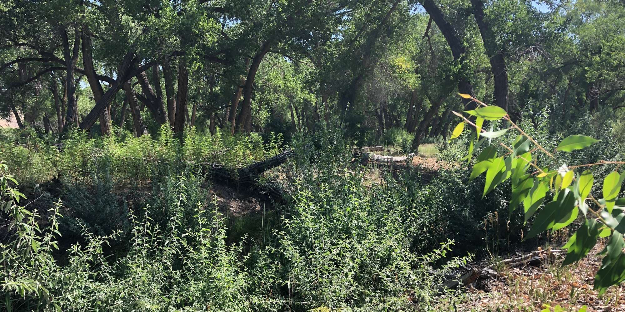 First image to compare