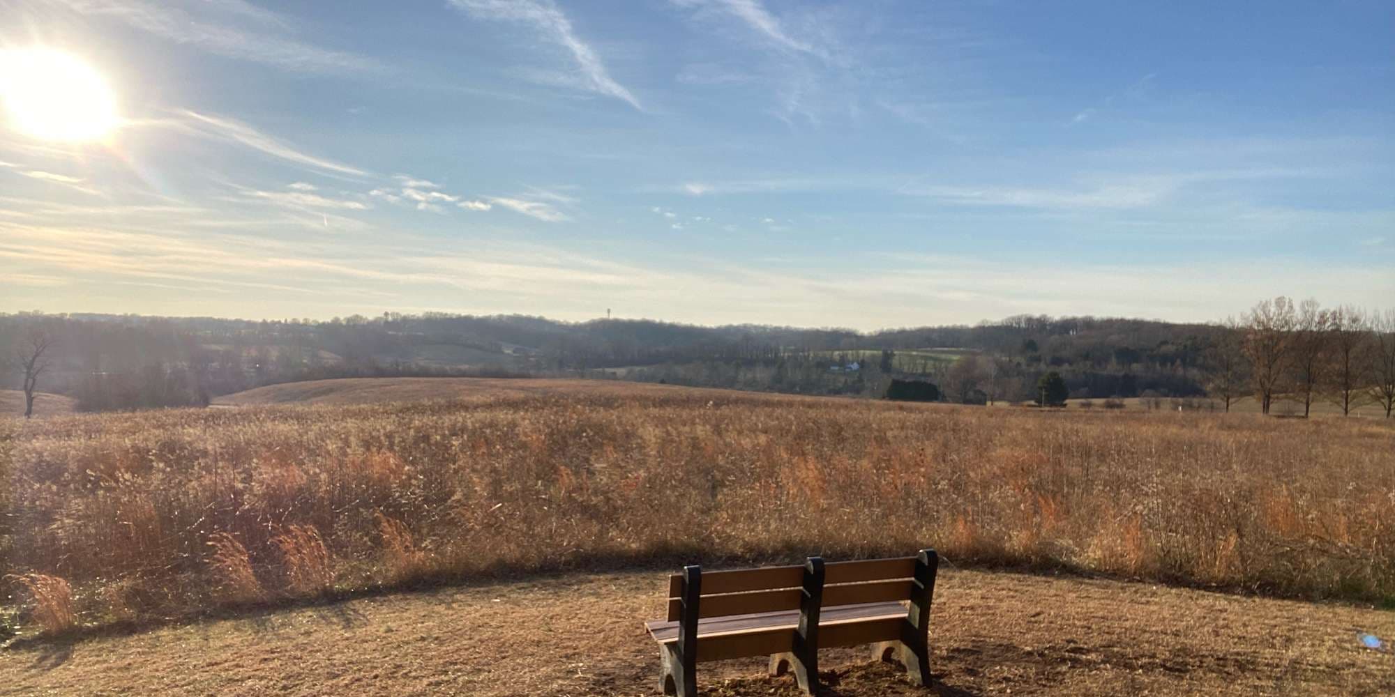 Second image to compare