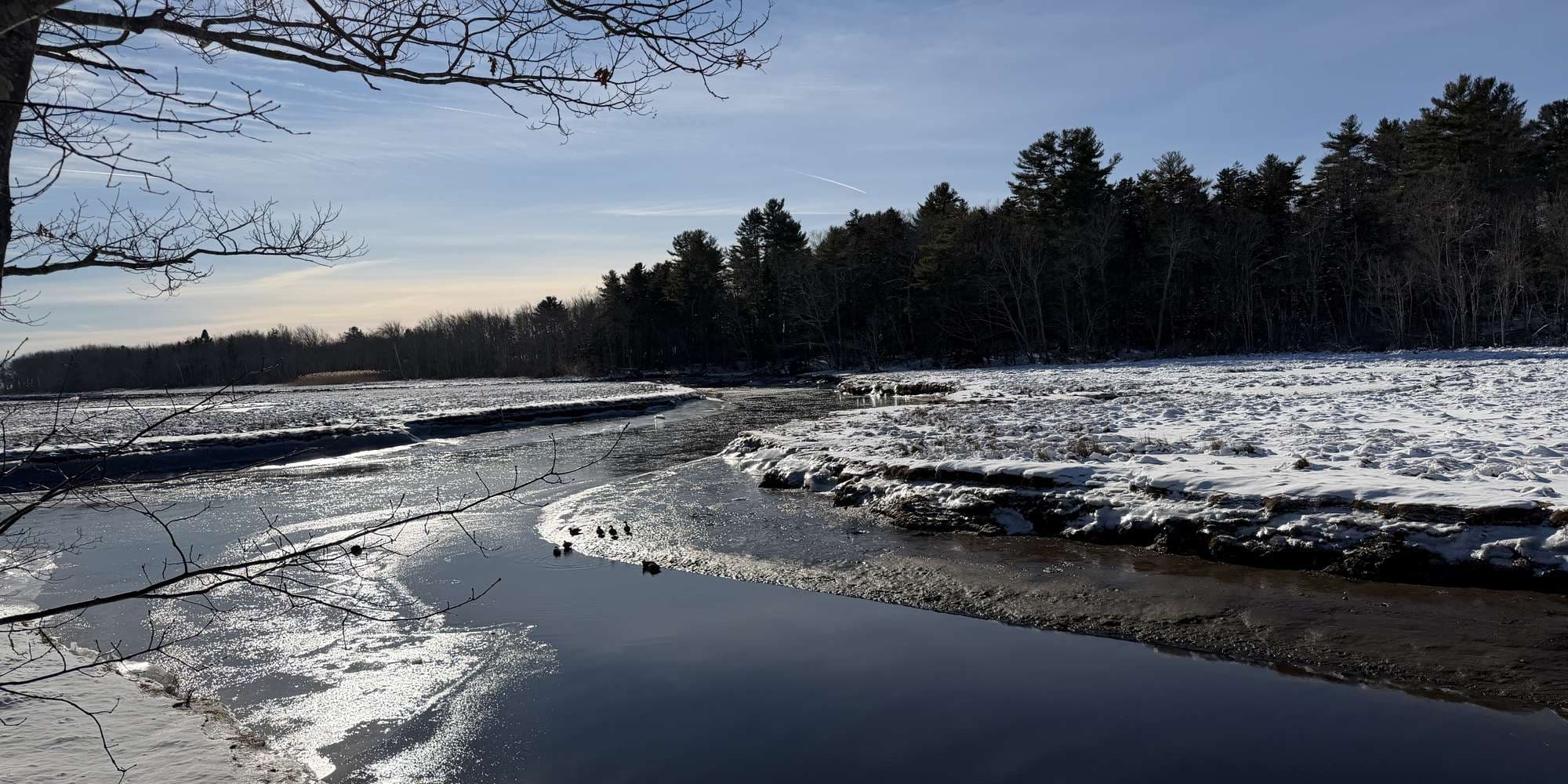 Second image to compare