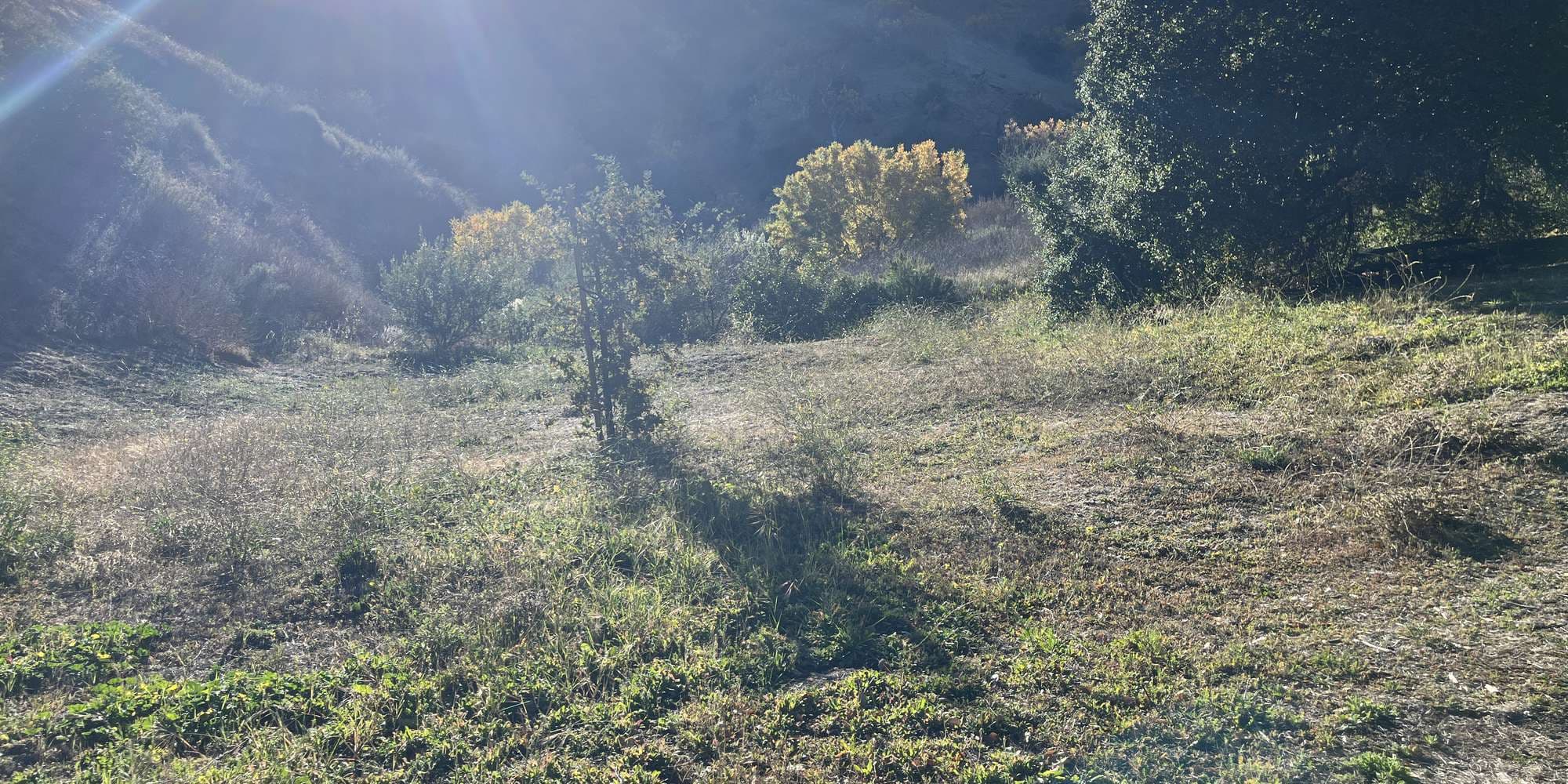 First image to compare