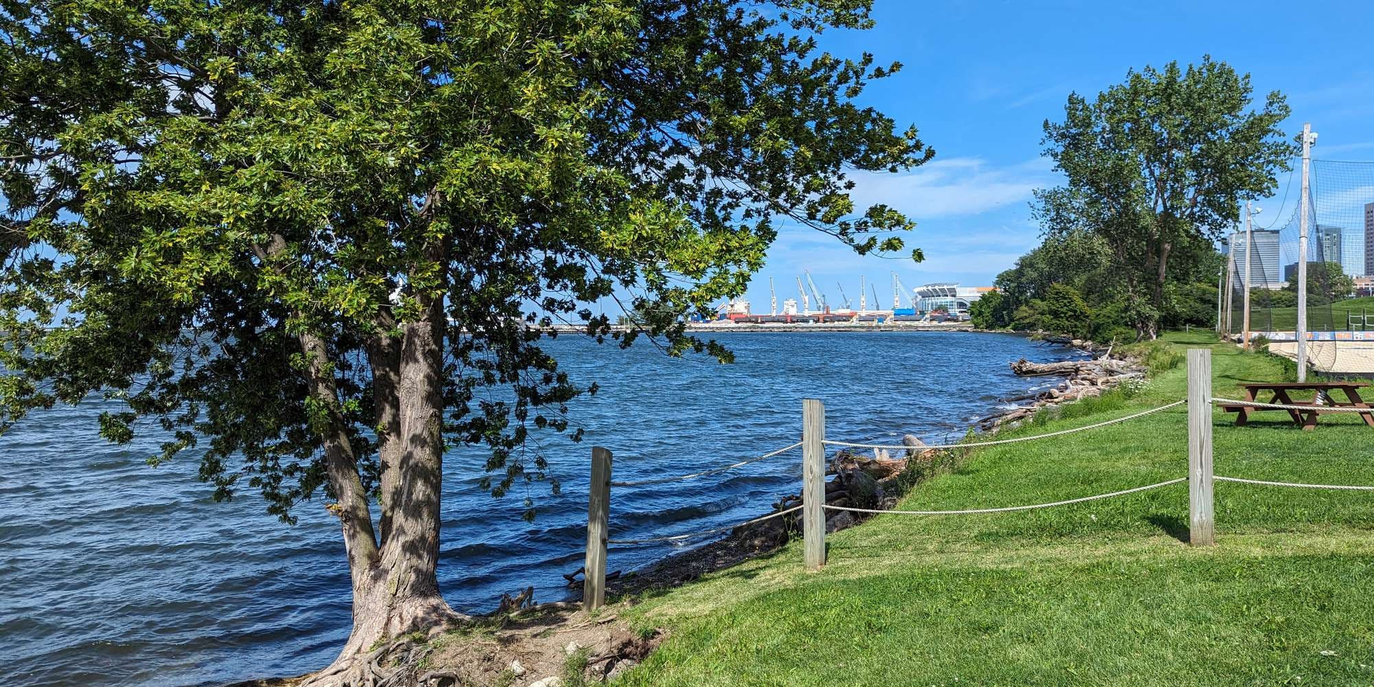 First image to compare