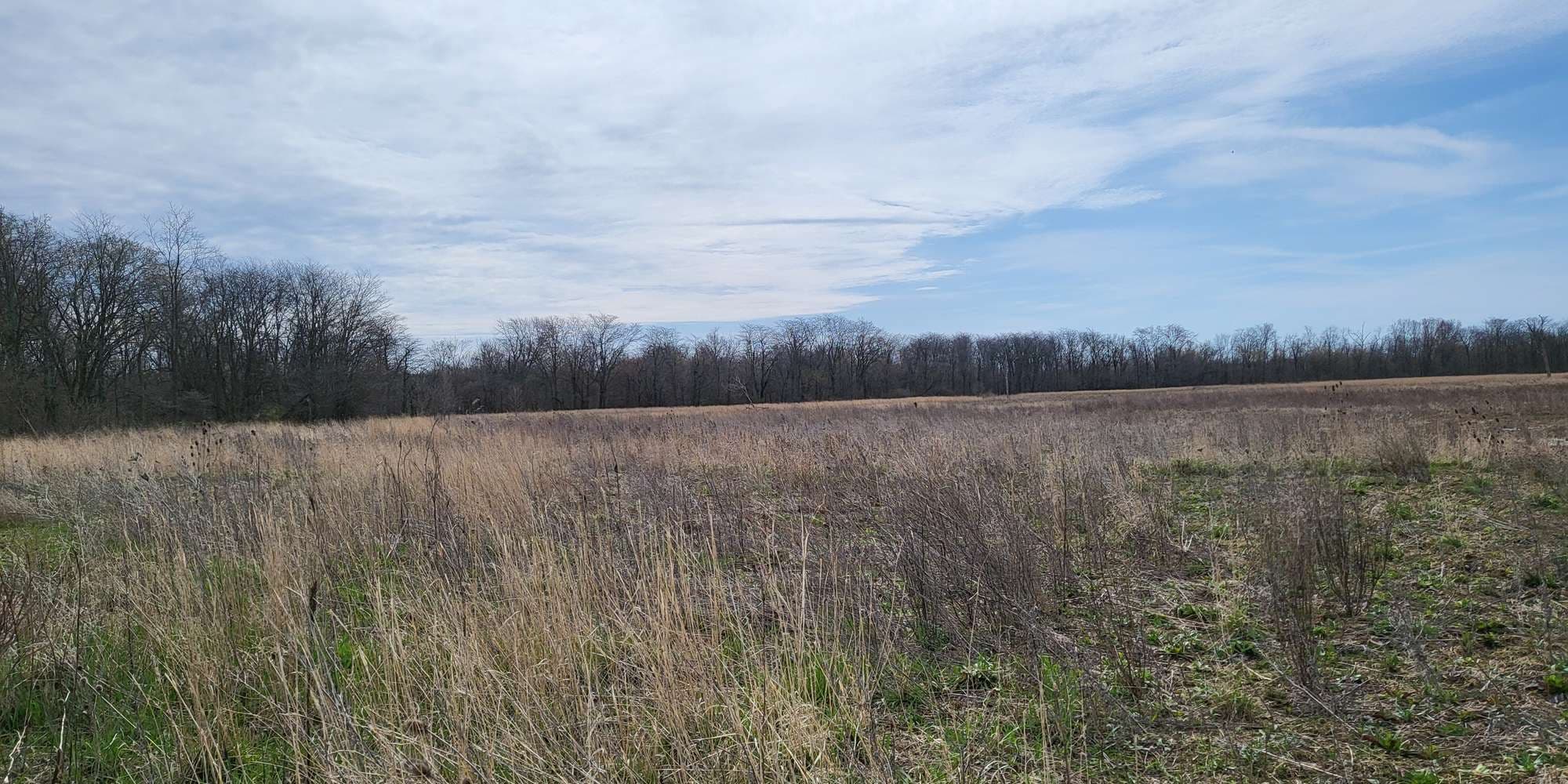 Second image to compare