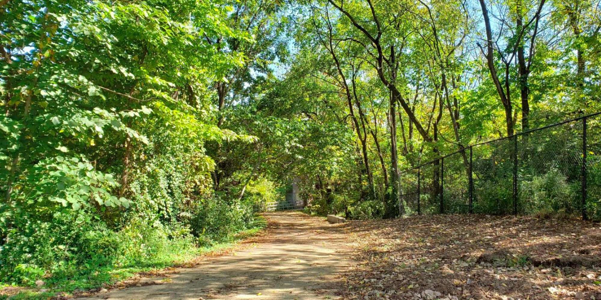 First image to compare