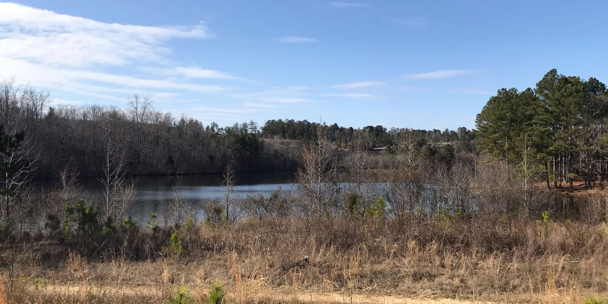 First image to compare