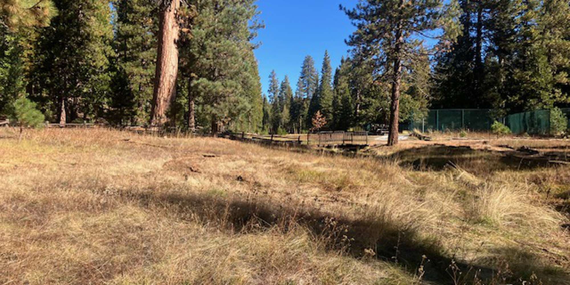 Second image to compare