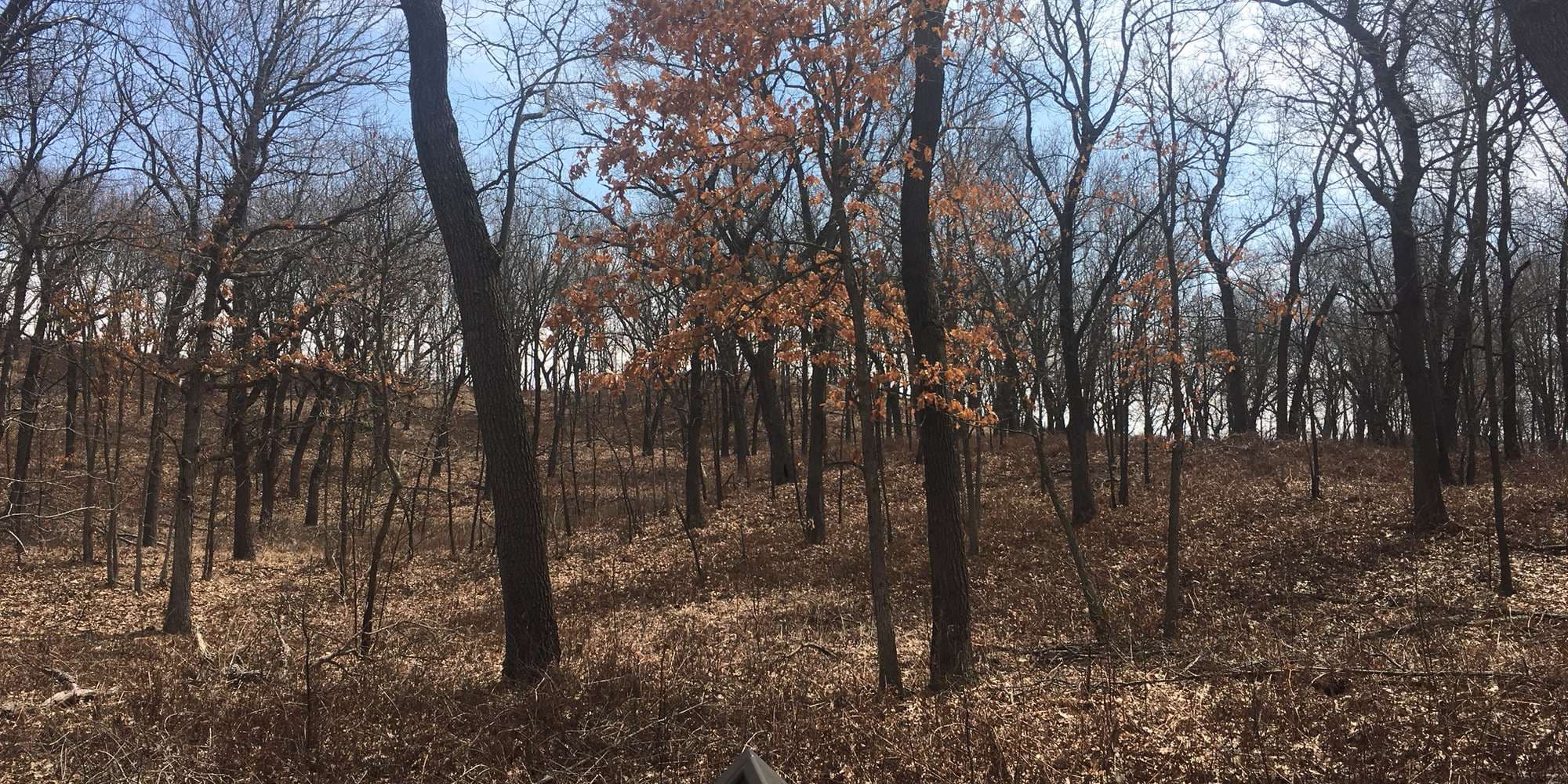 First image to compare