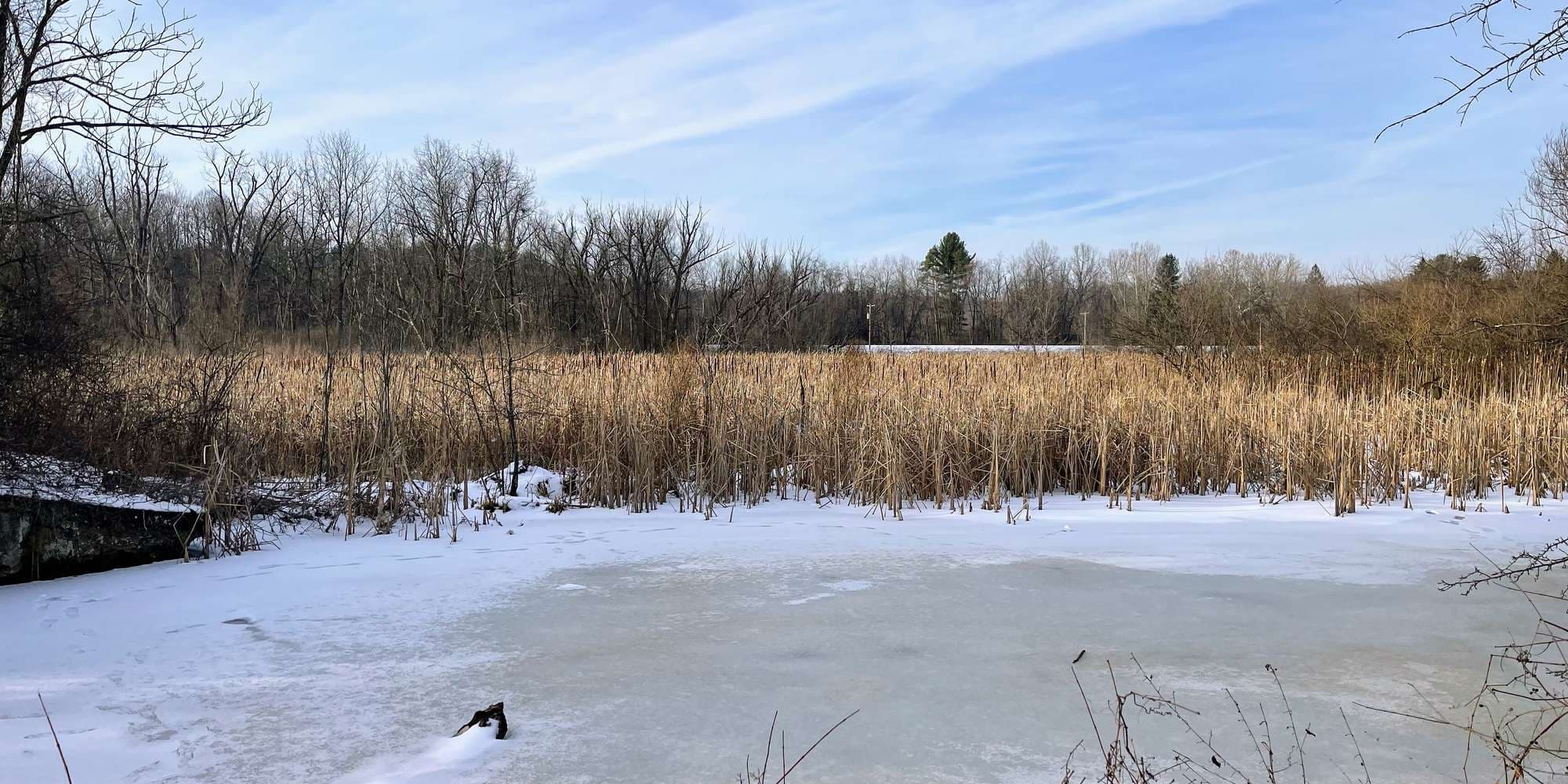 Second image to compare