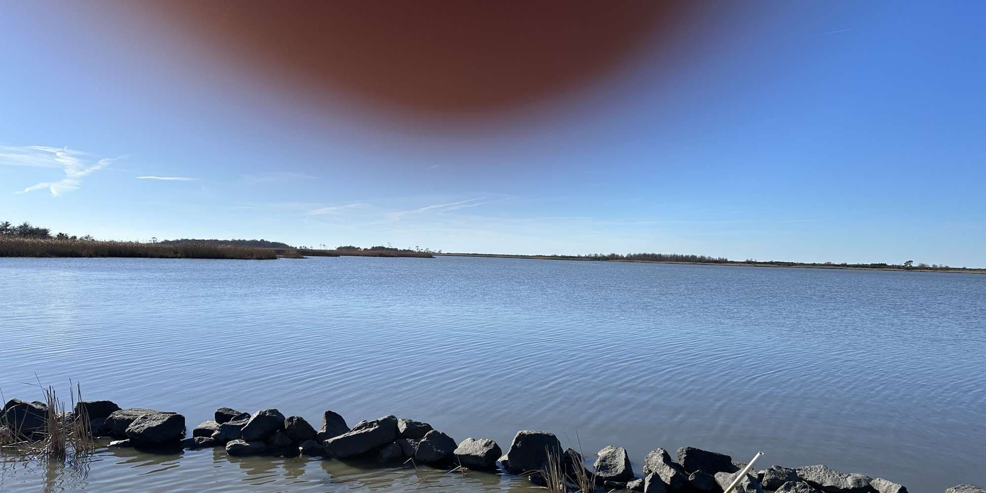 Second image to compare