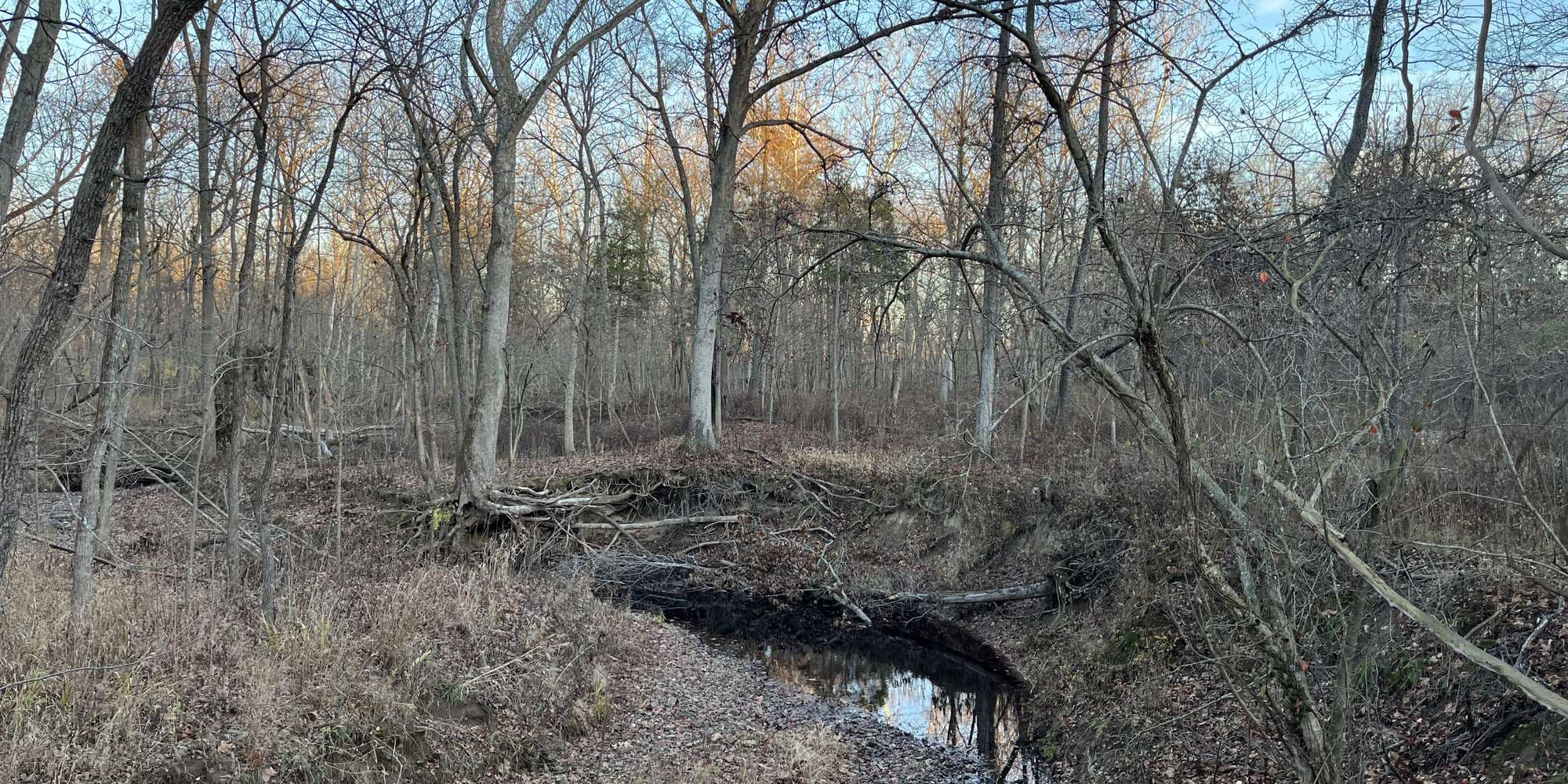 Second image to compare