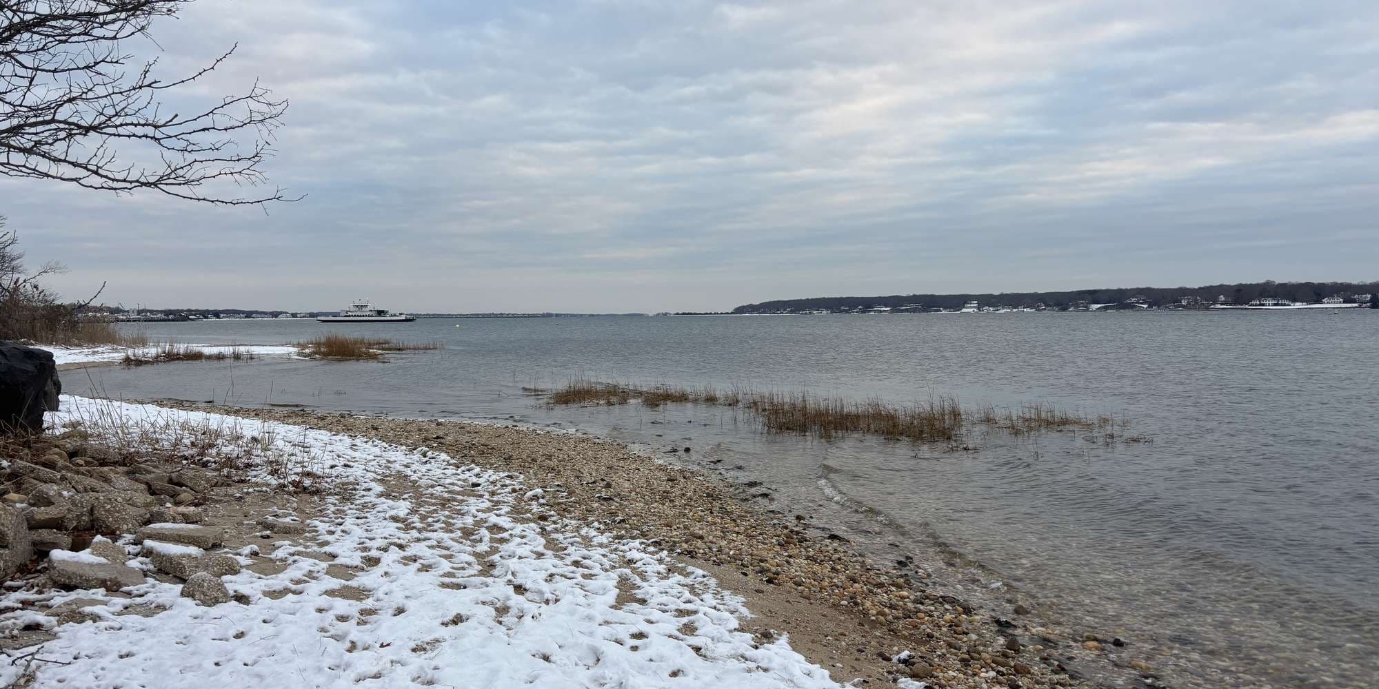 Second image to compare