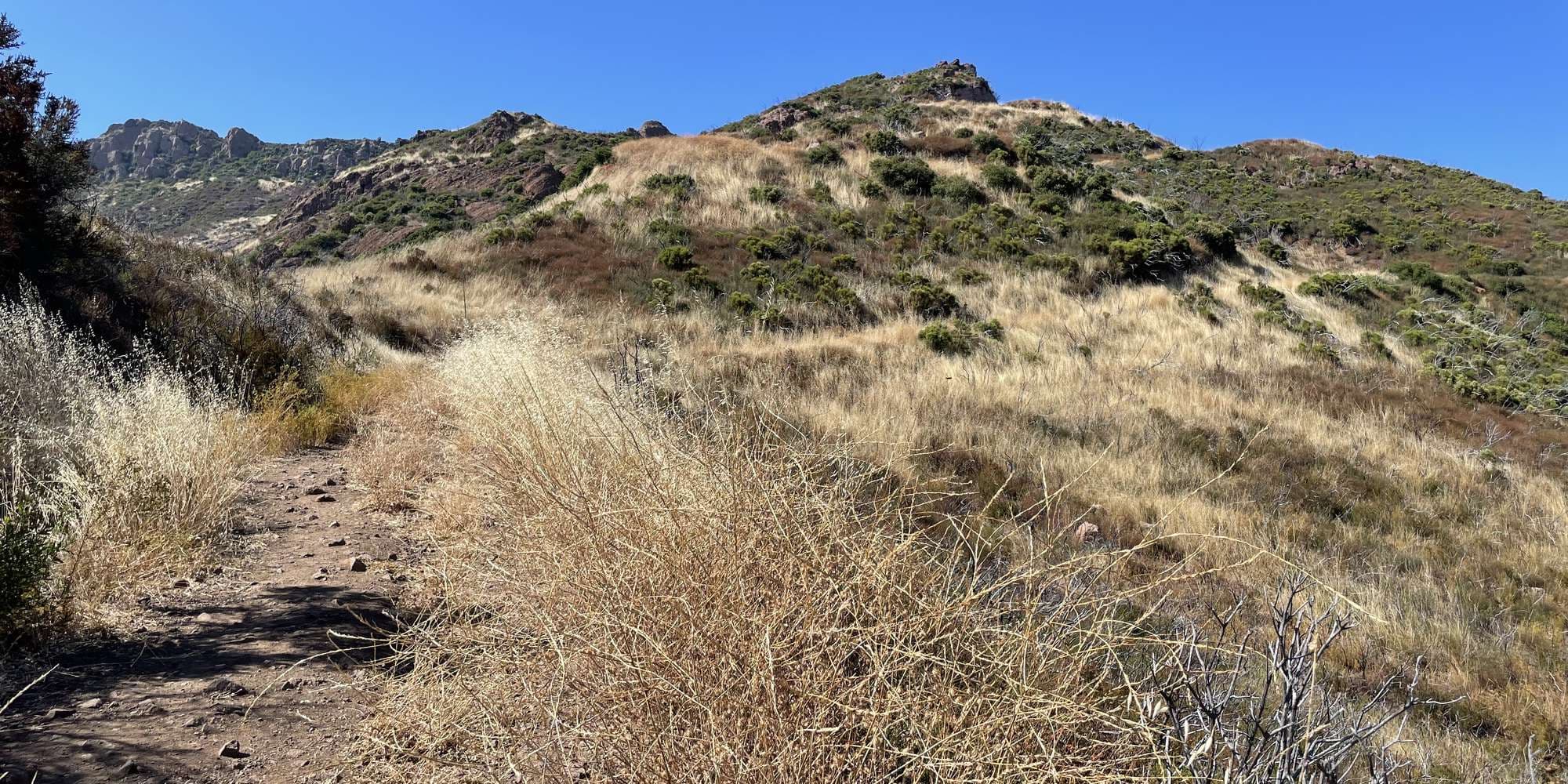 First image to compare