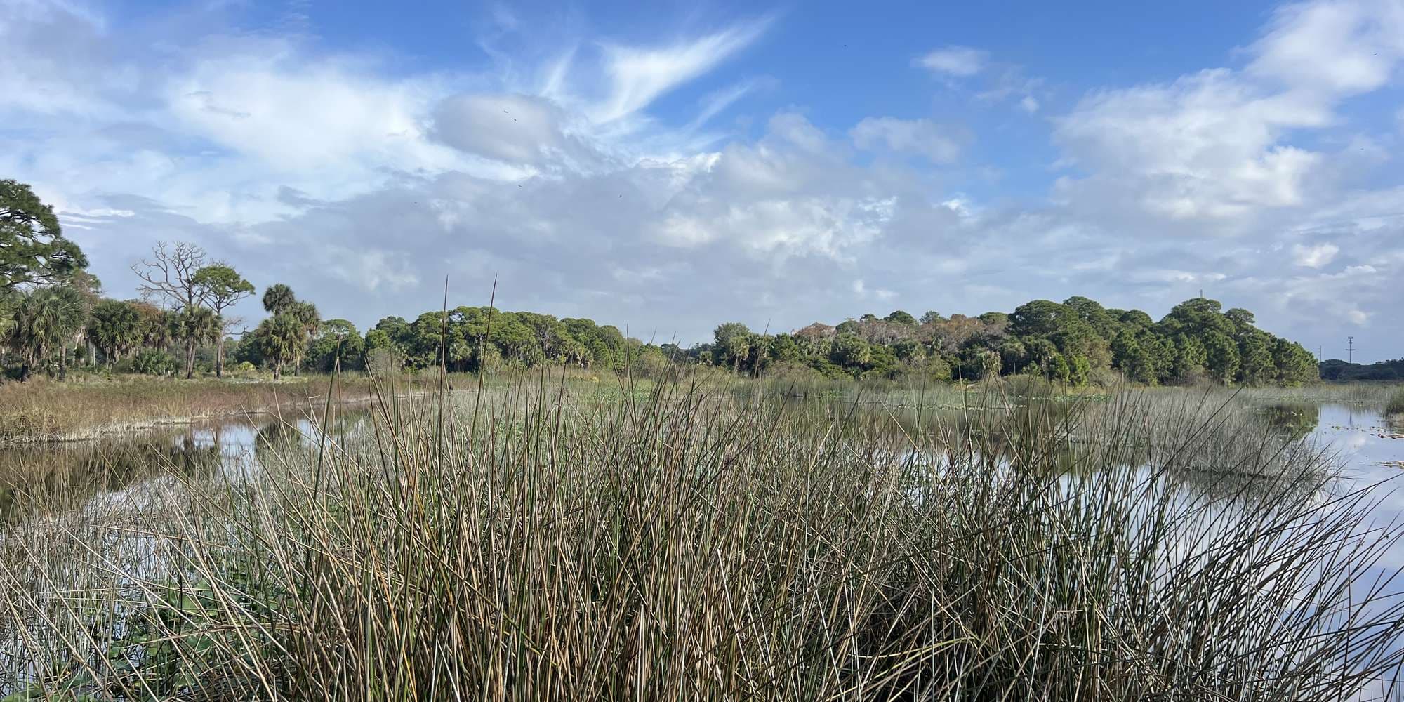 Second image to compare