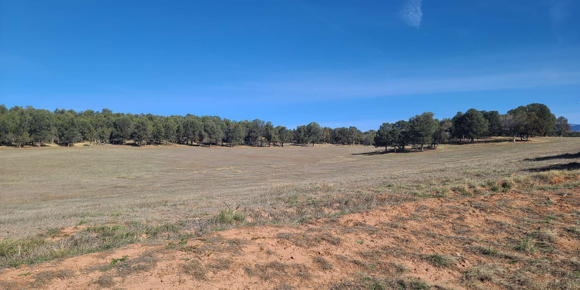 Second image to compare