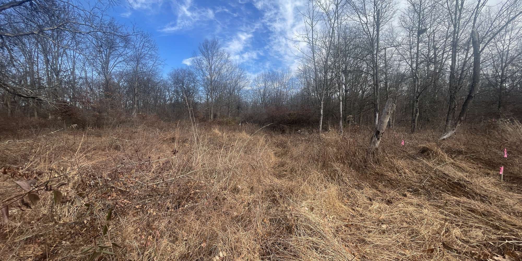 Second image to compare