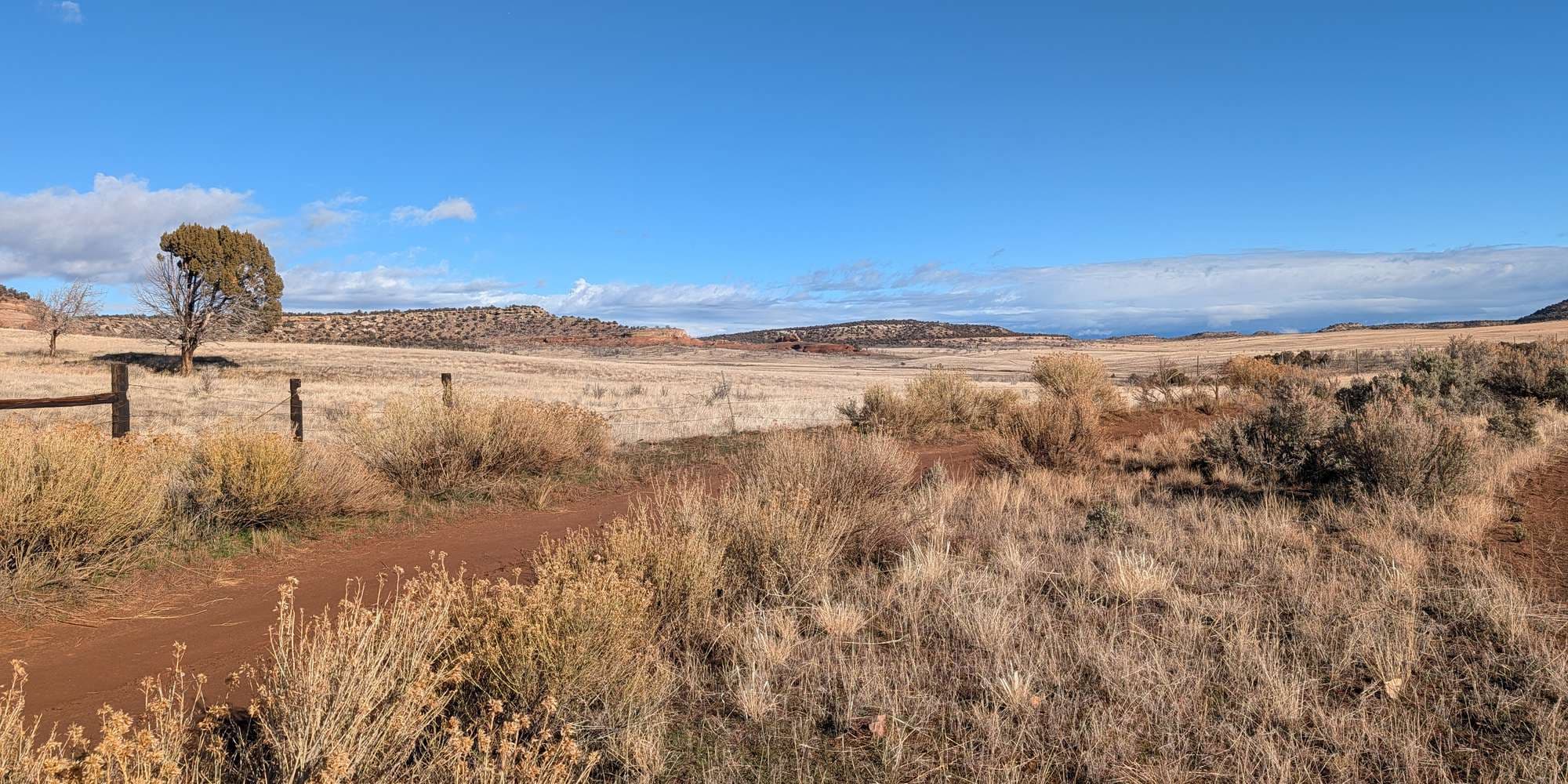 Second image to compare