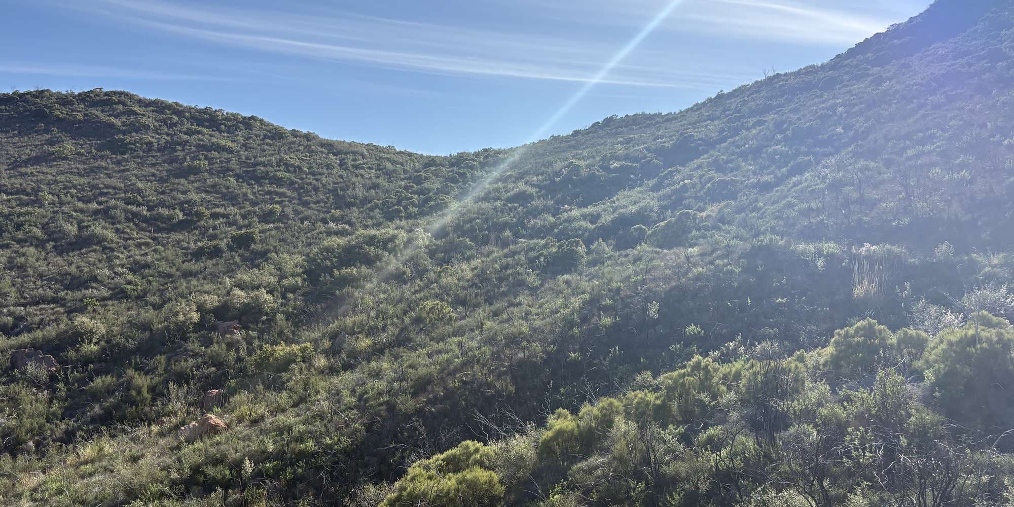 Second image to compare