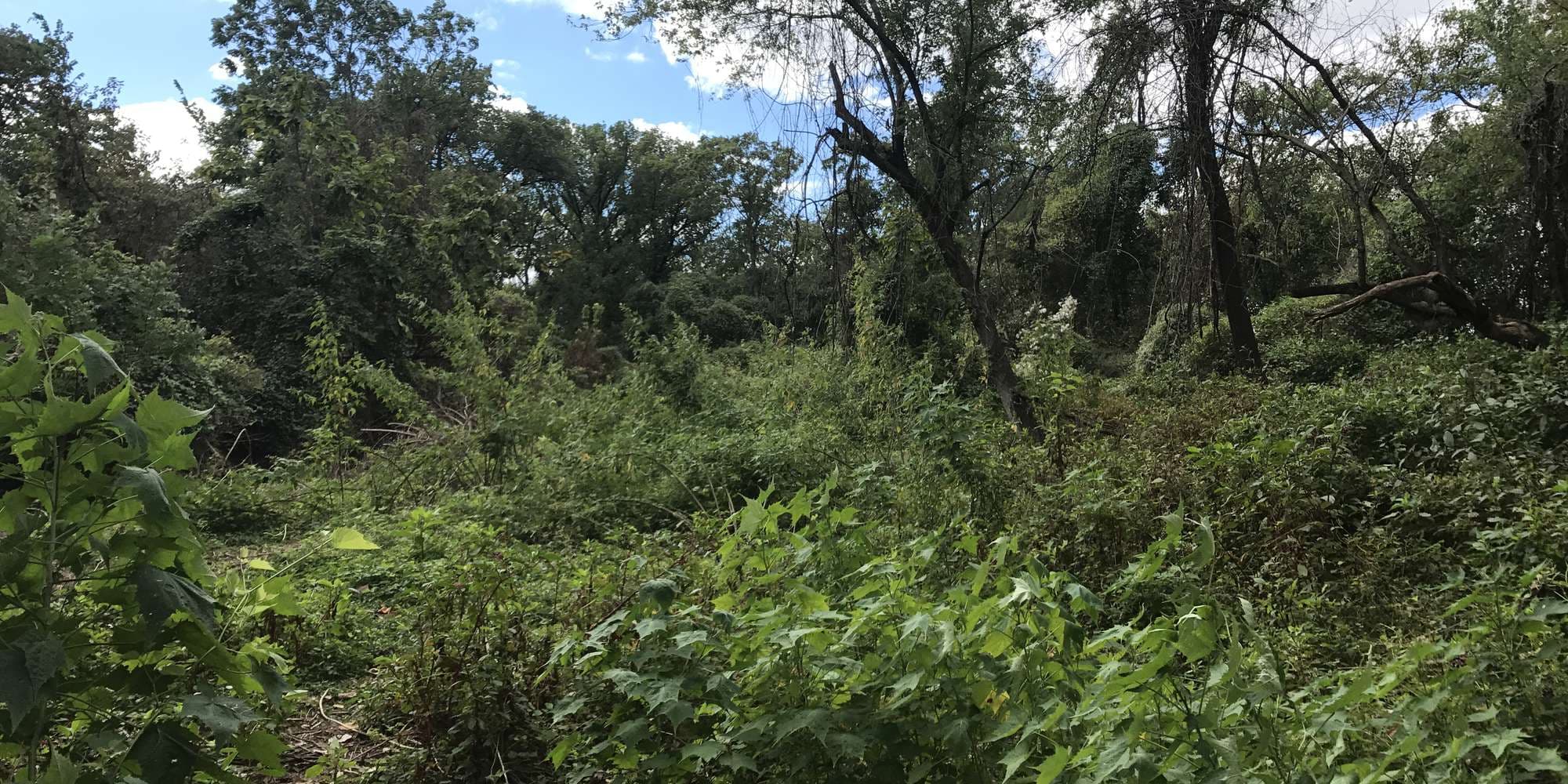 First image to compare