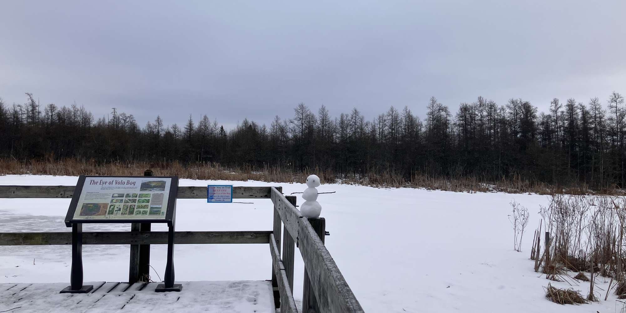 Second image to compare