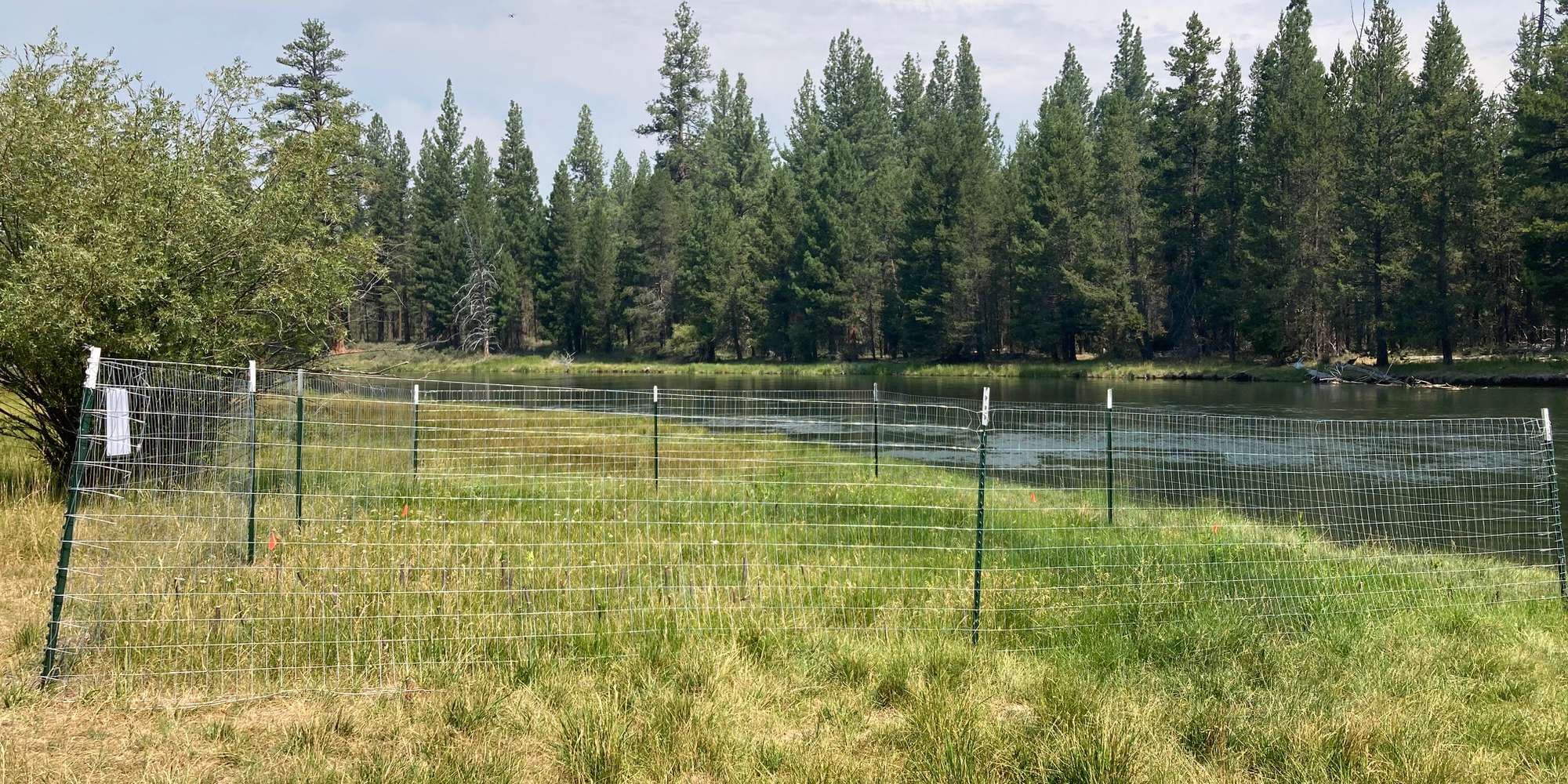 First image to compare