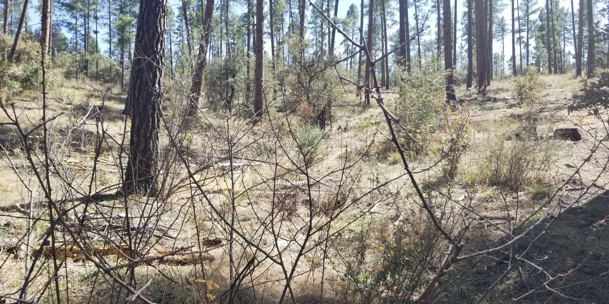 First image to compare