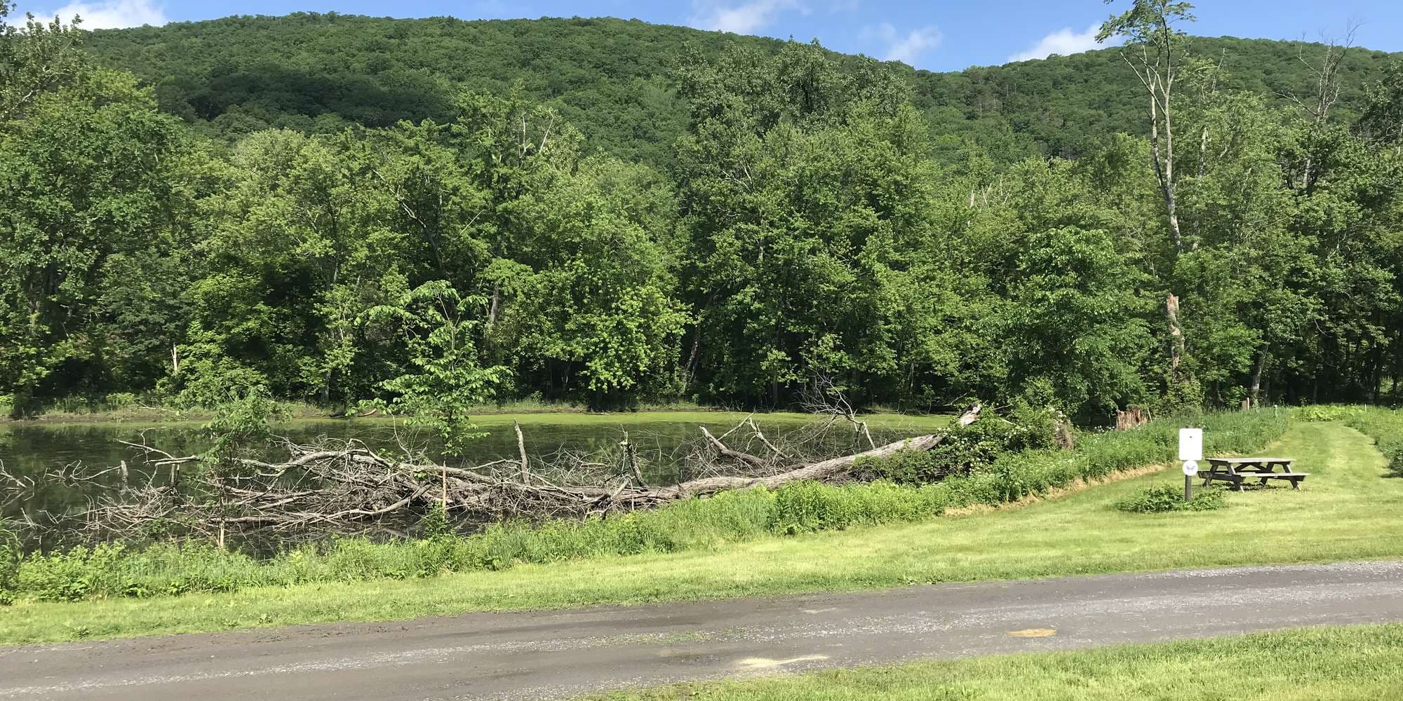 First image to compare