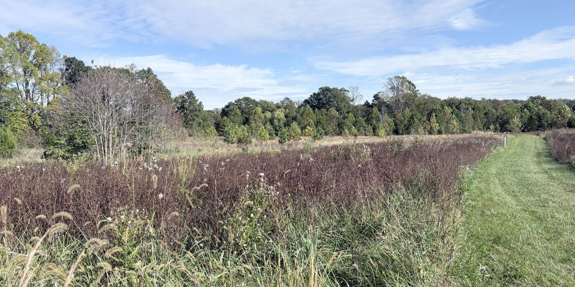 Second image to compare