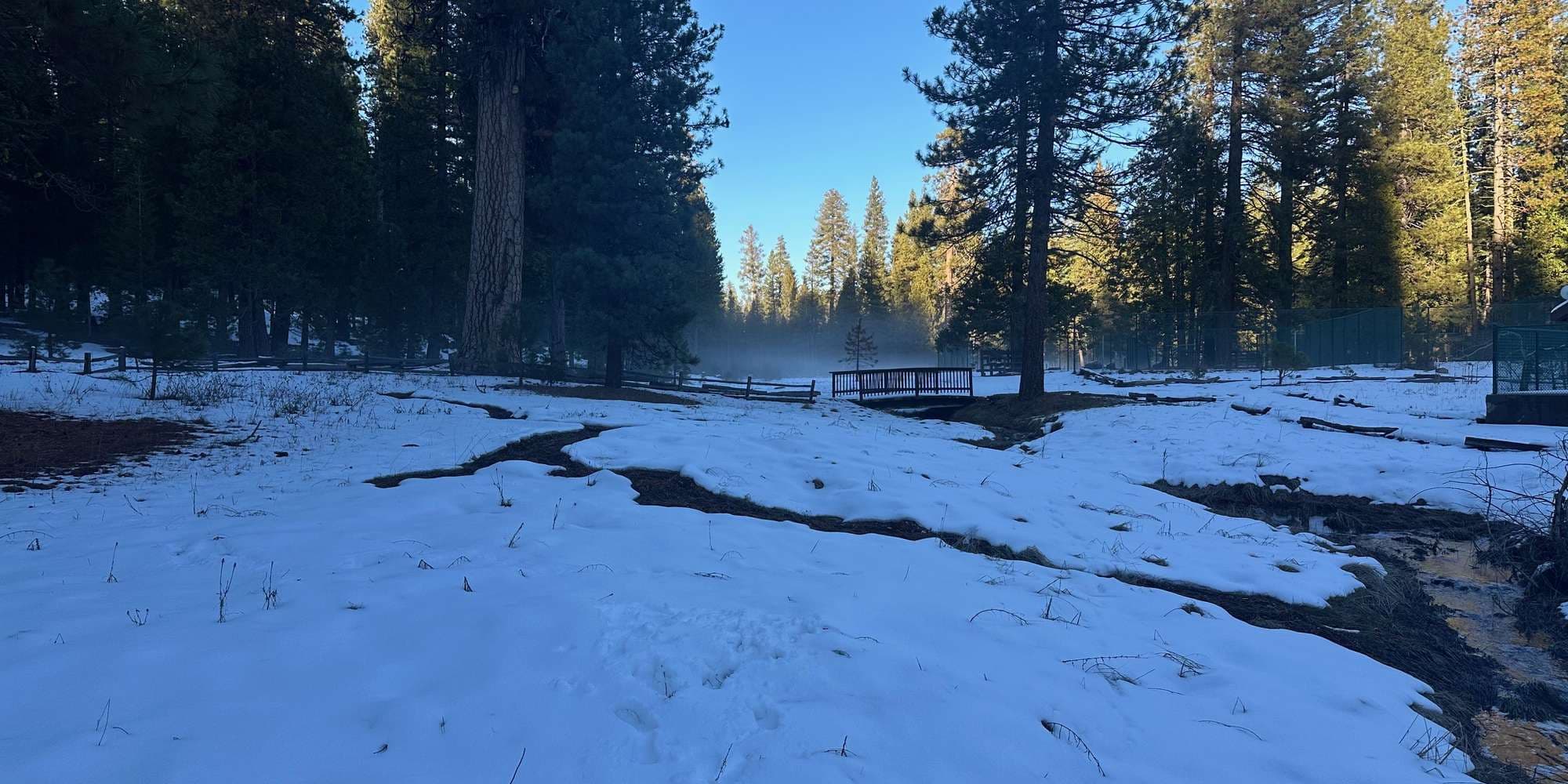 Second image to compare