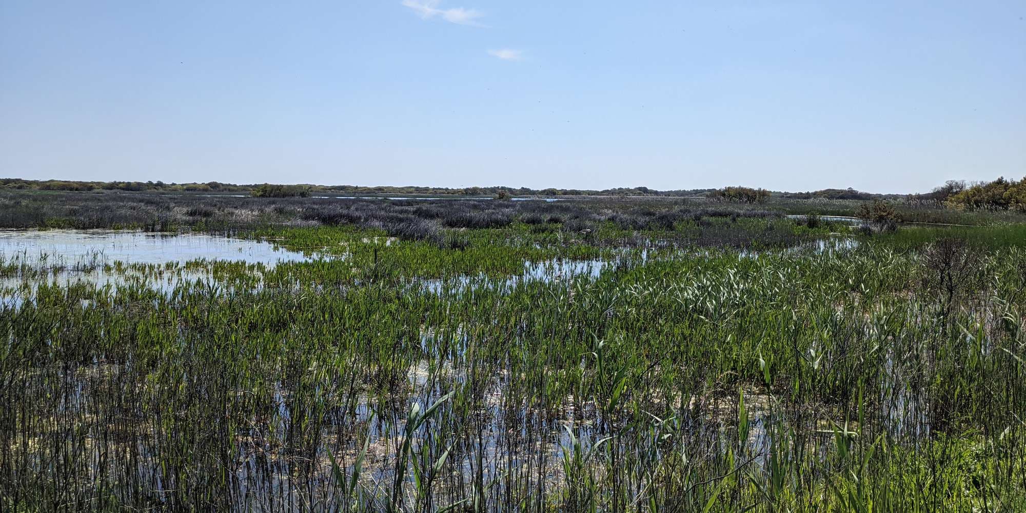 First image to compare