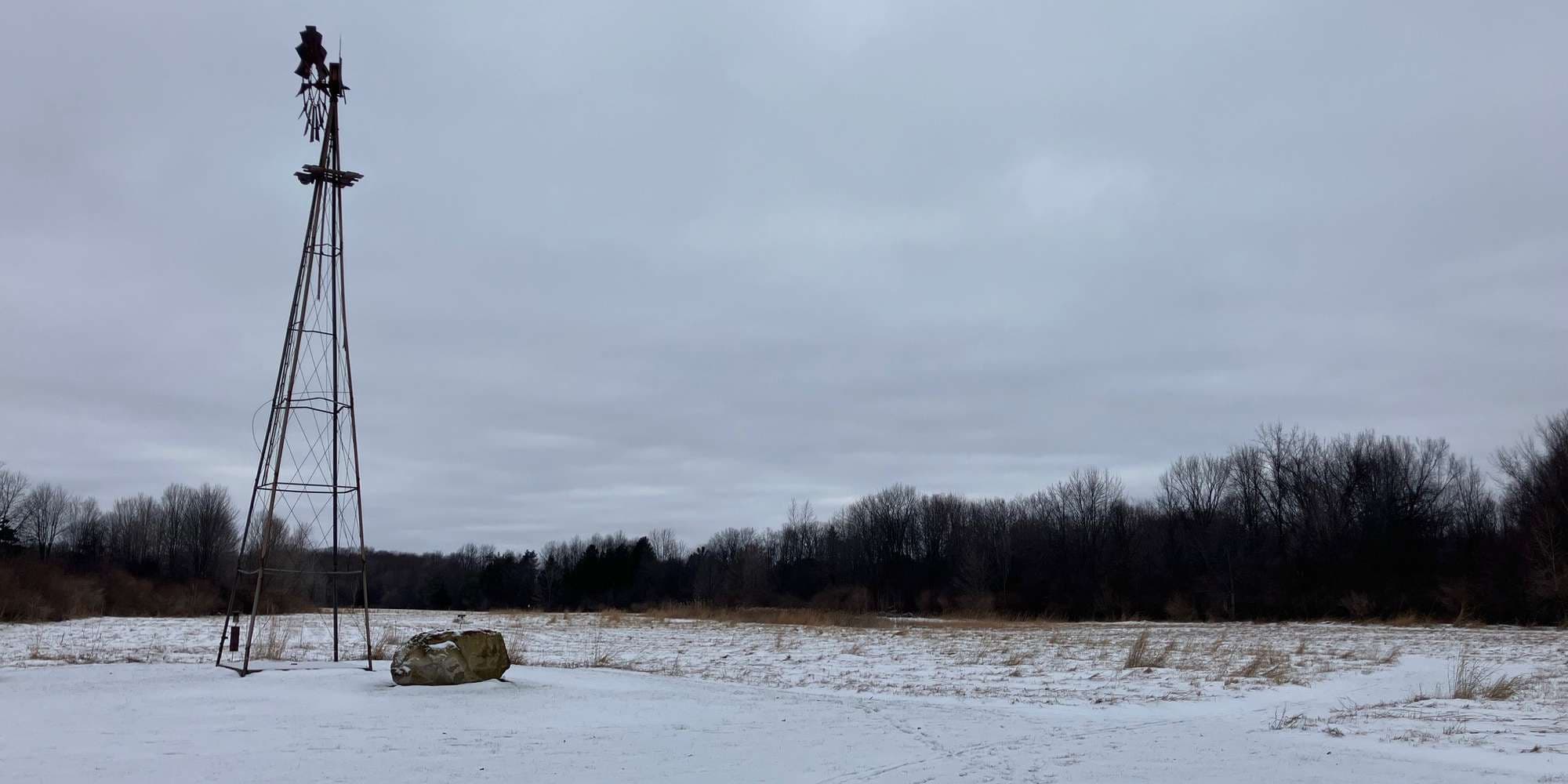 Second image to compare