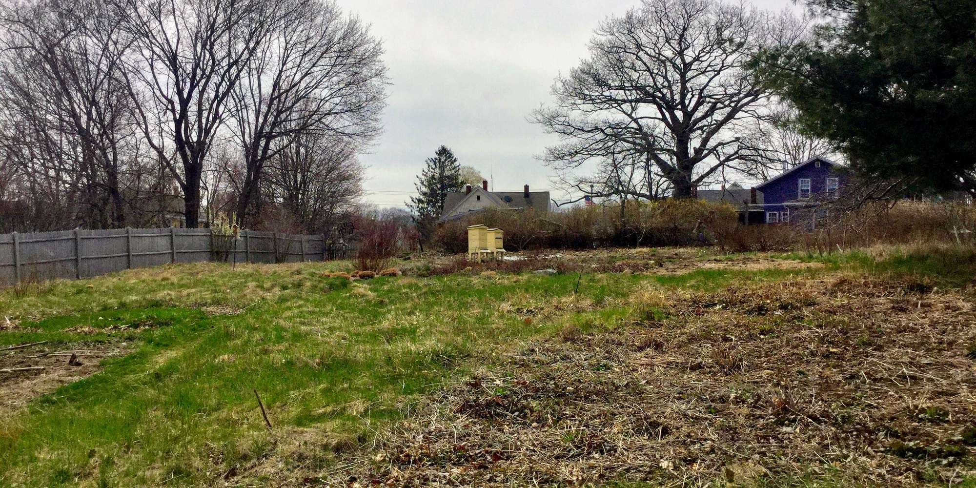 First image to compare