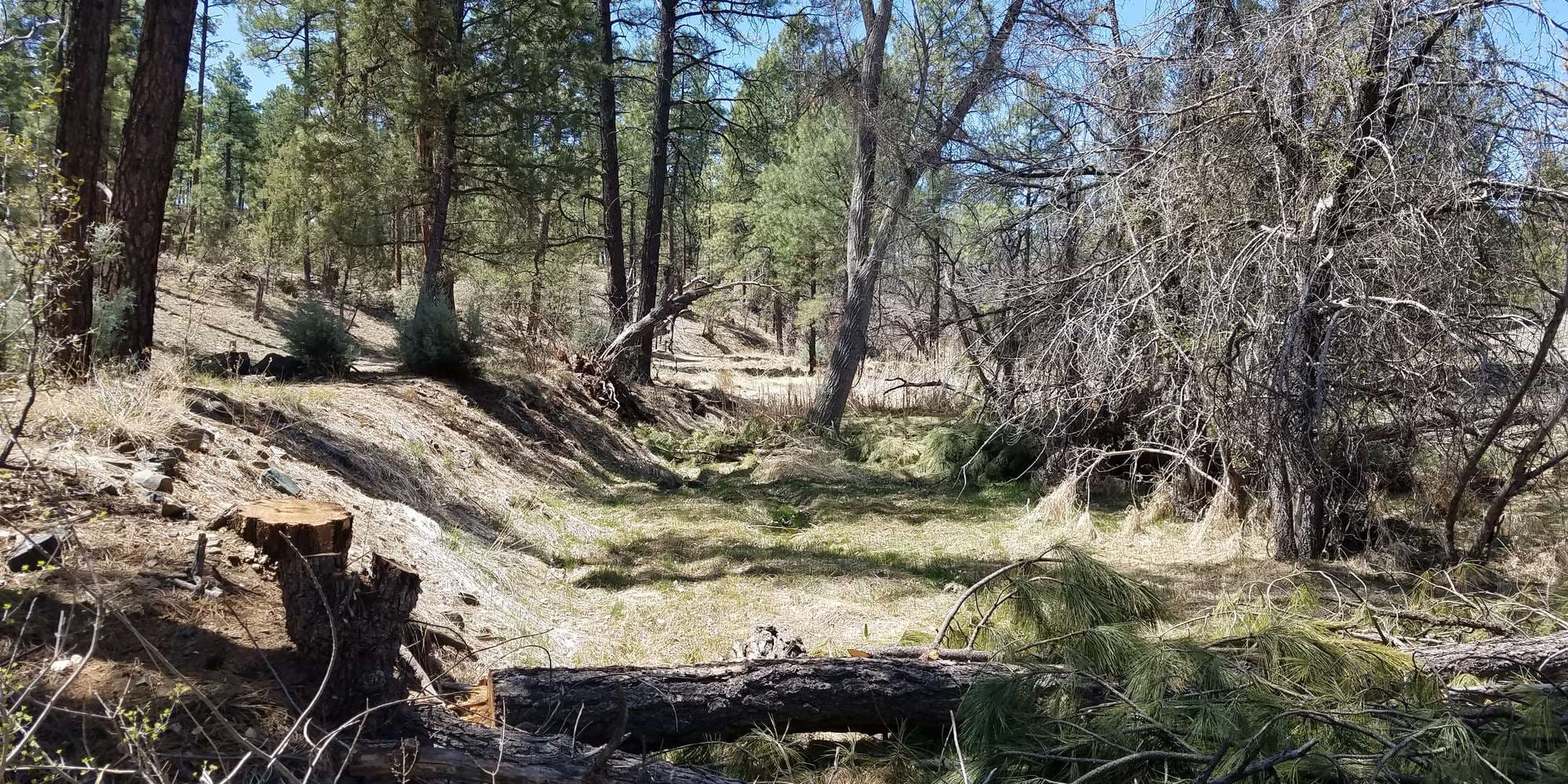 First image to compare