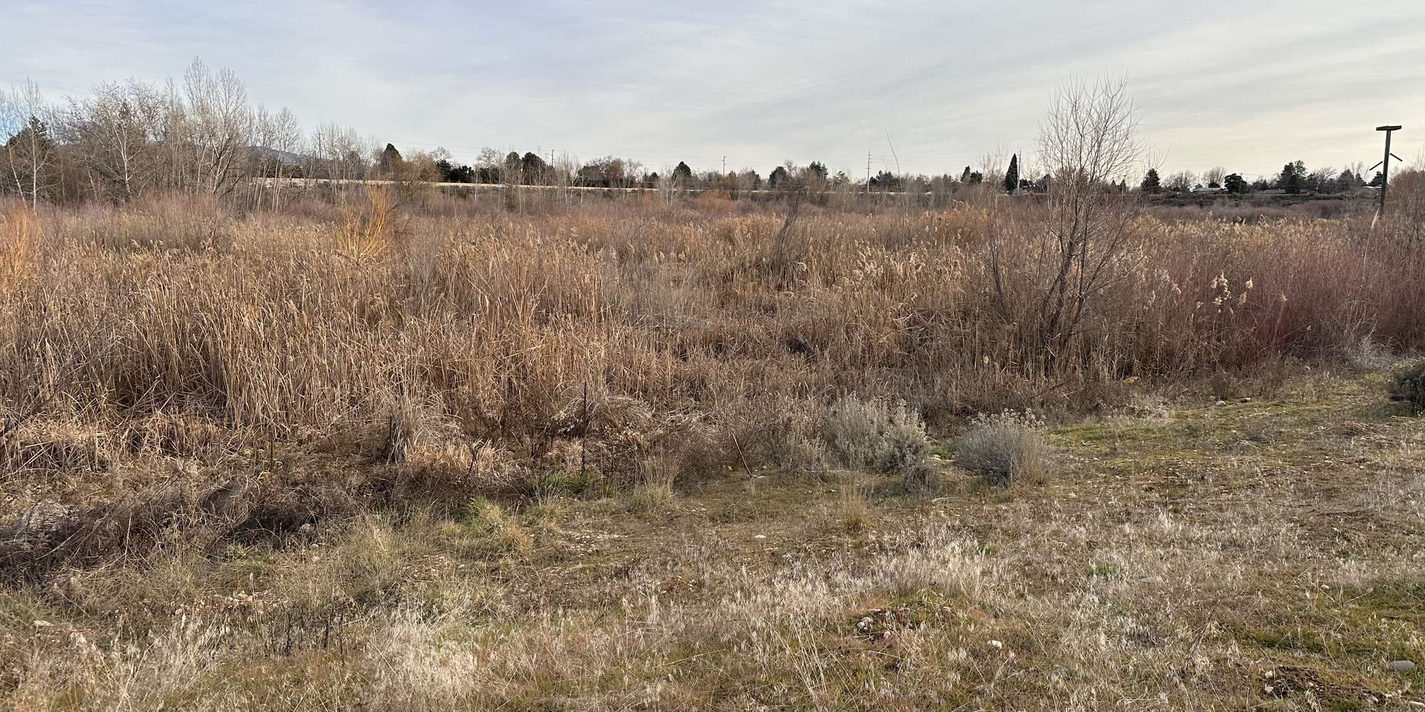 Second image to compare