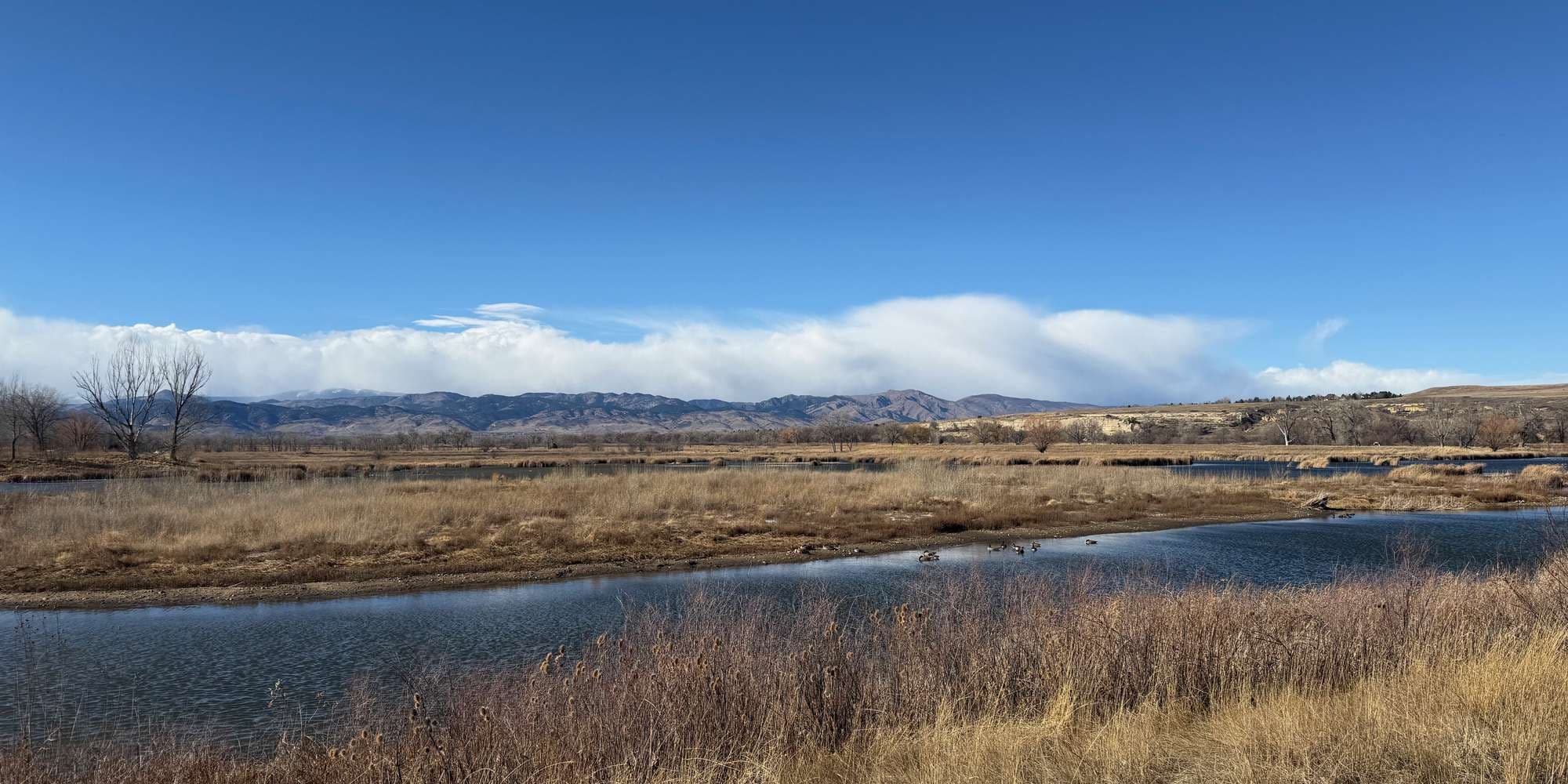 Second image to compare