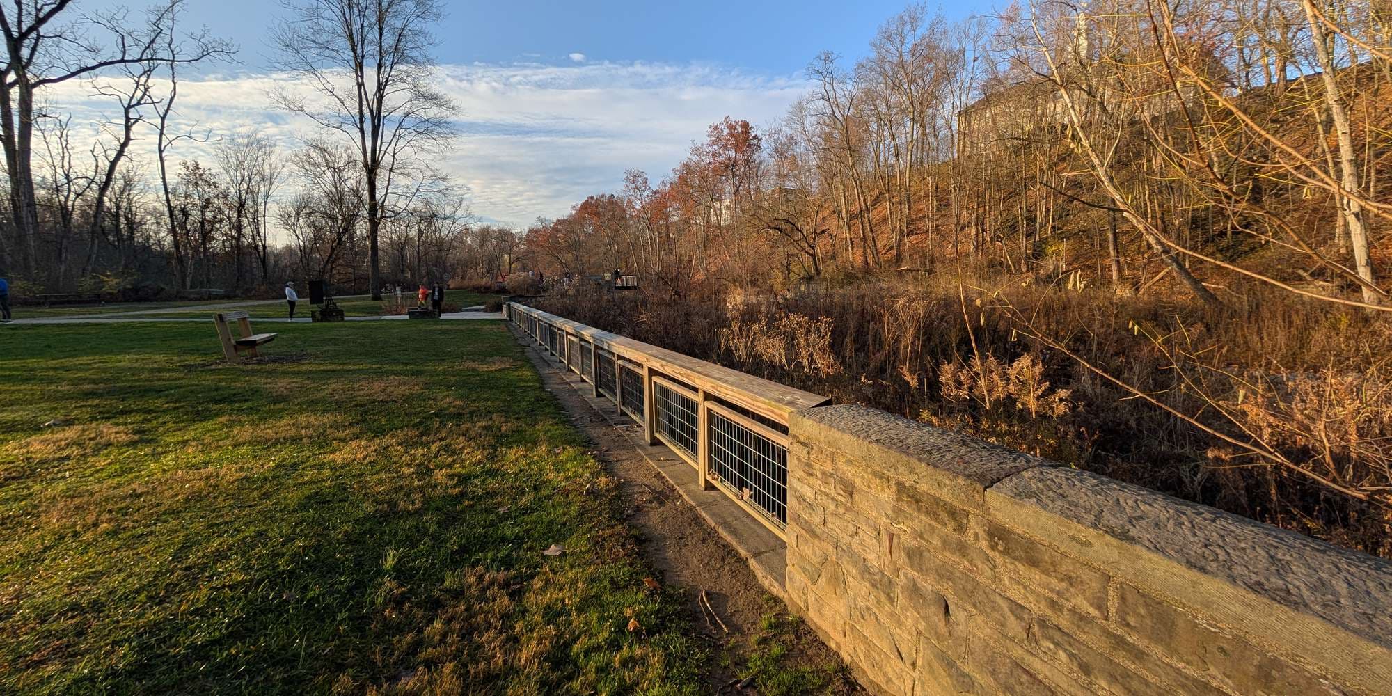 Second image to compare