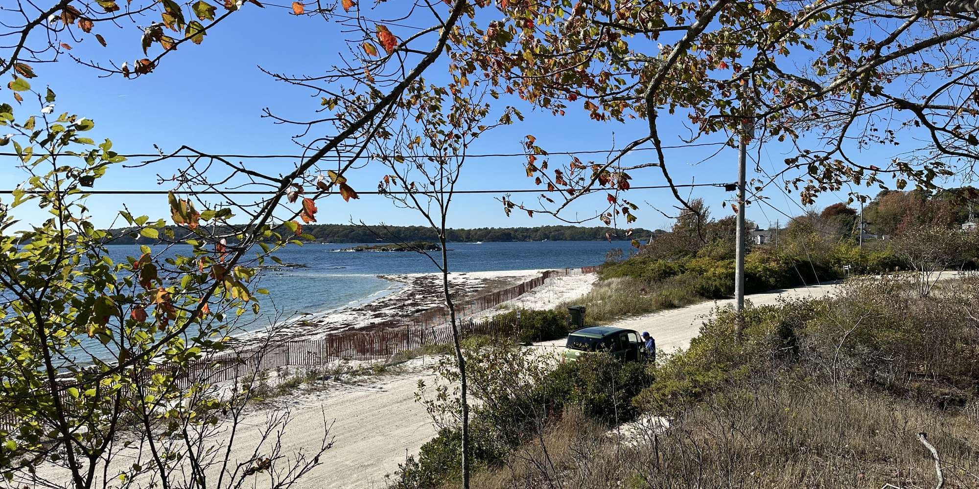 Second image to compare