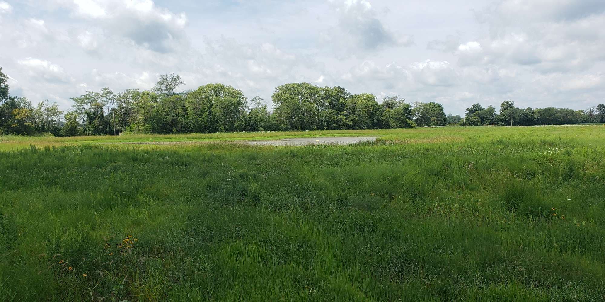 First image to compare