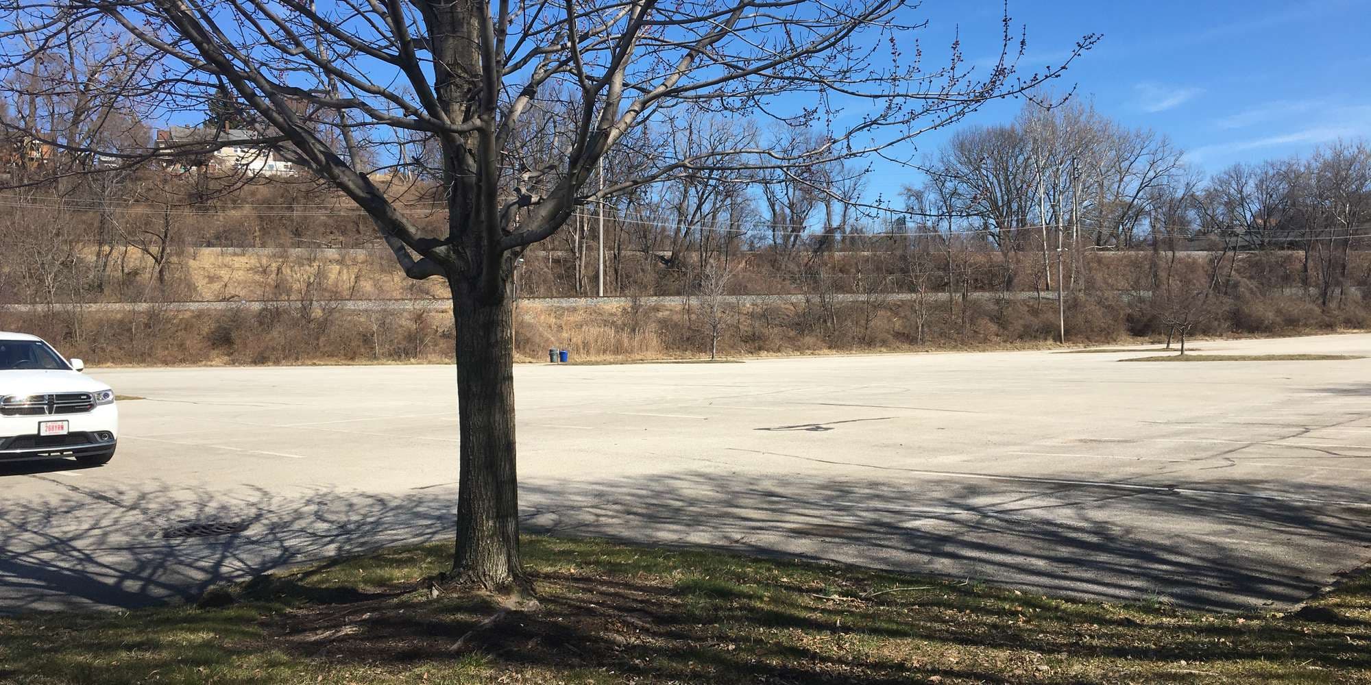 First image to compare