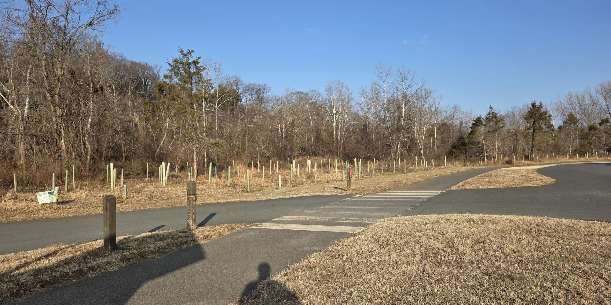 Second image to compare