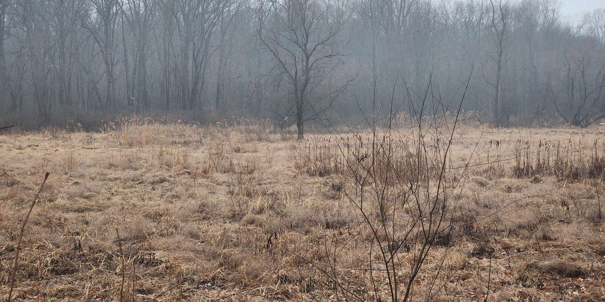 Second image to compare