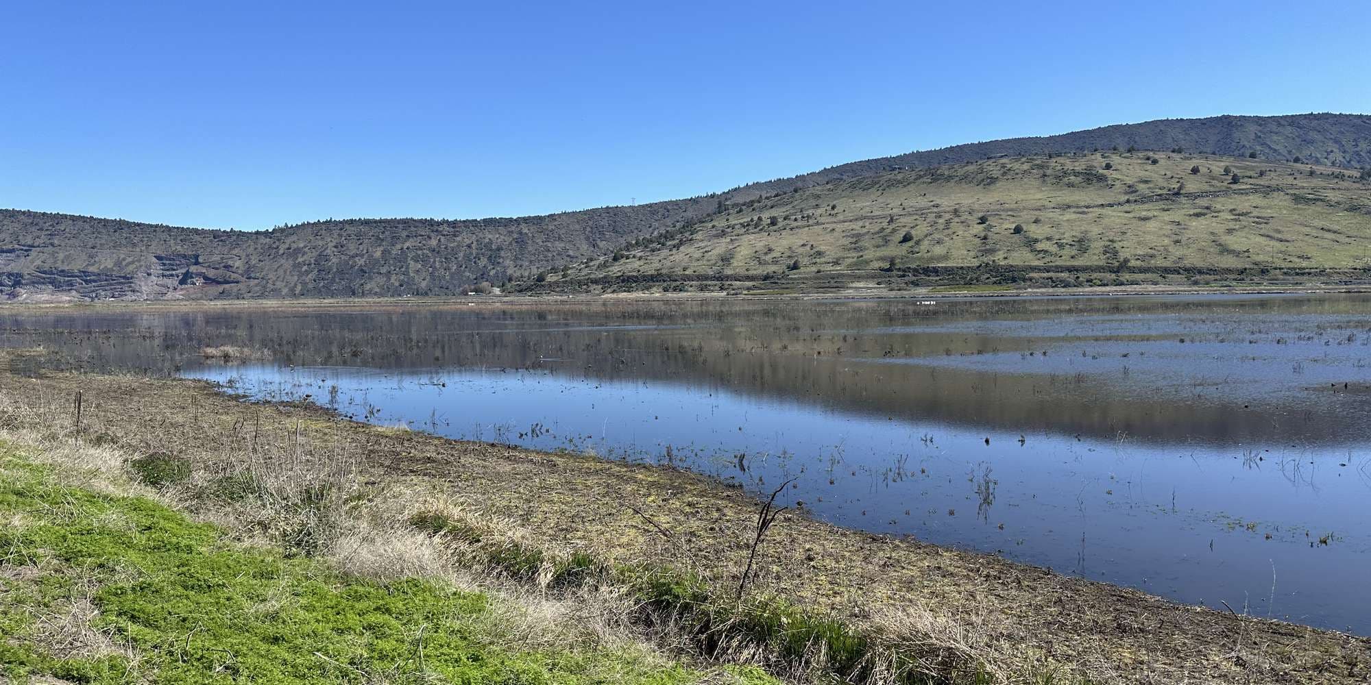 Second image to compare