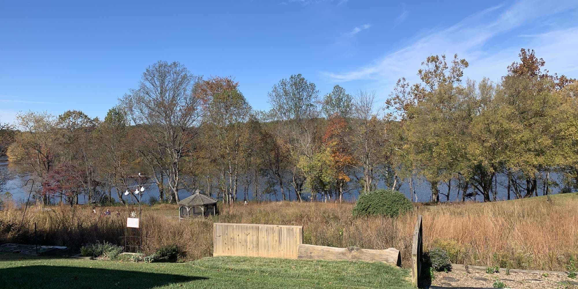 Second image to compare