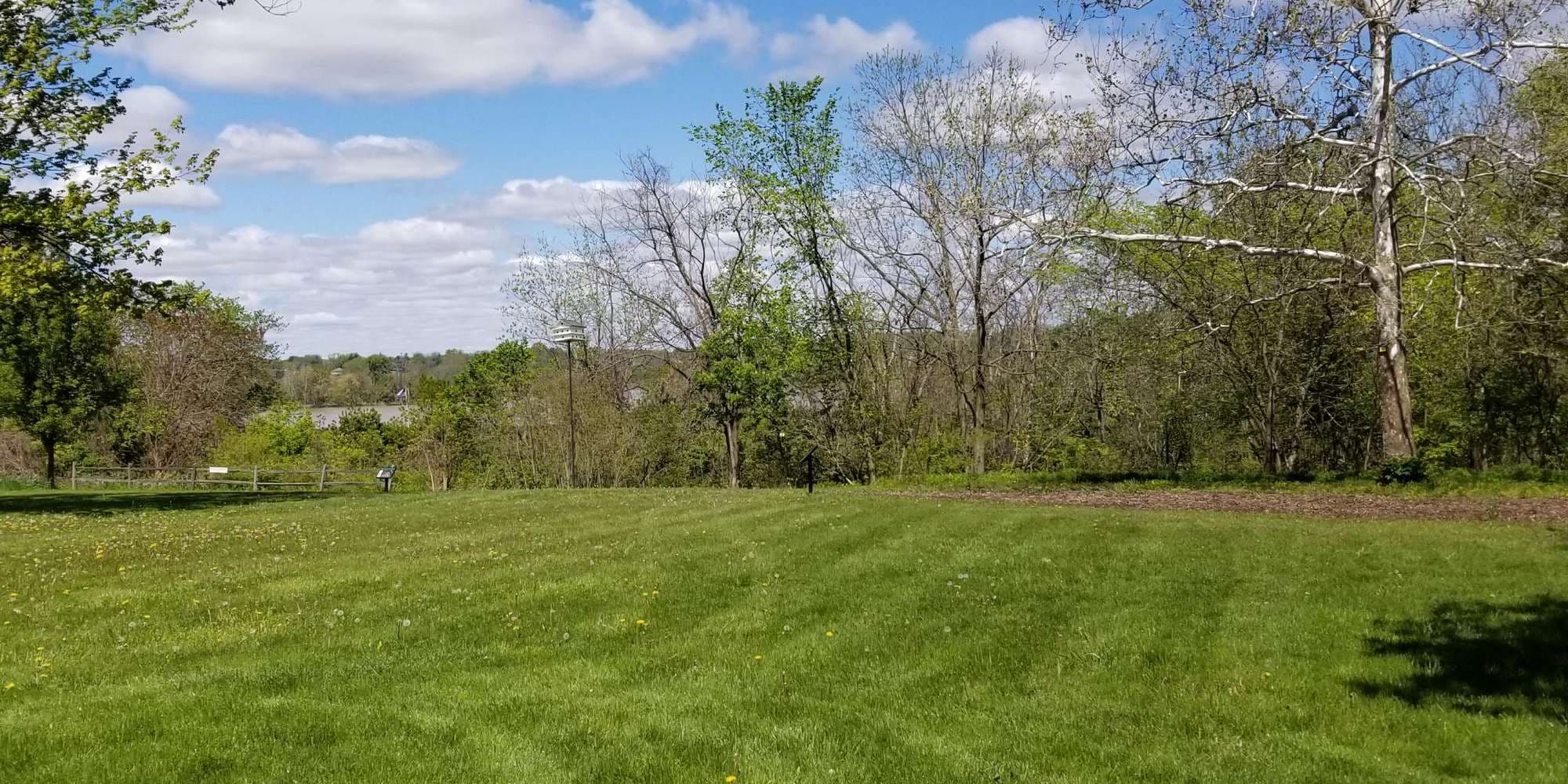 First image to compare