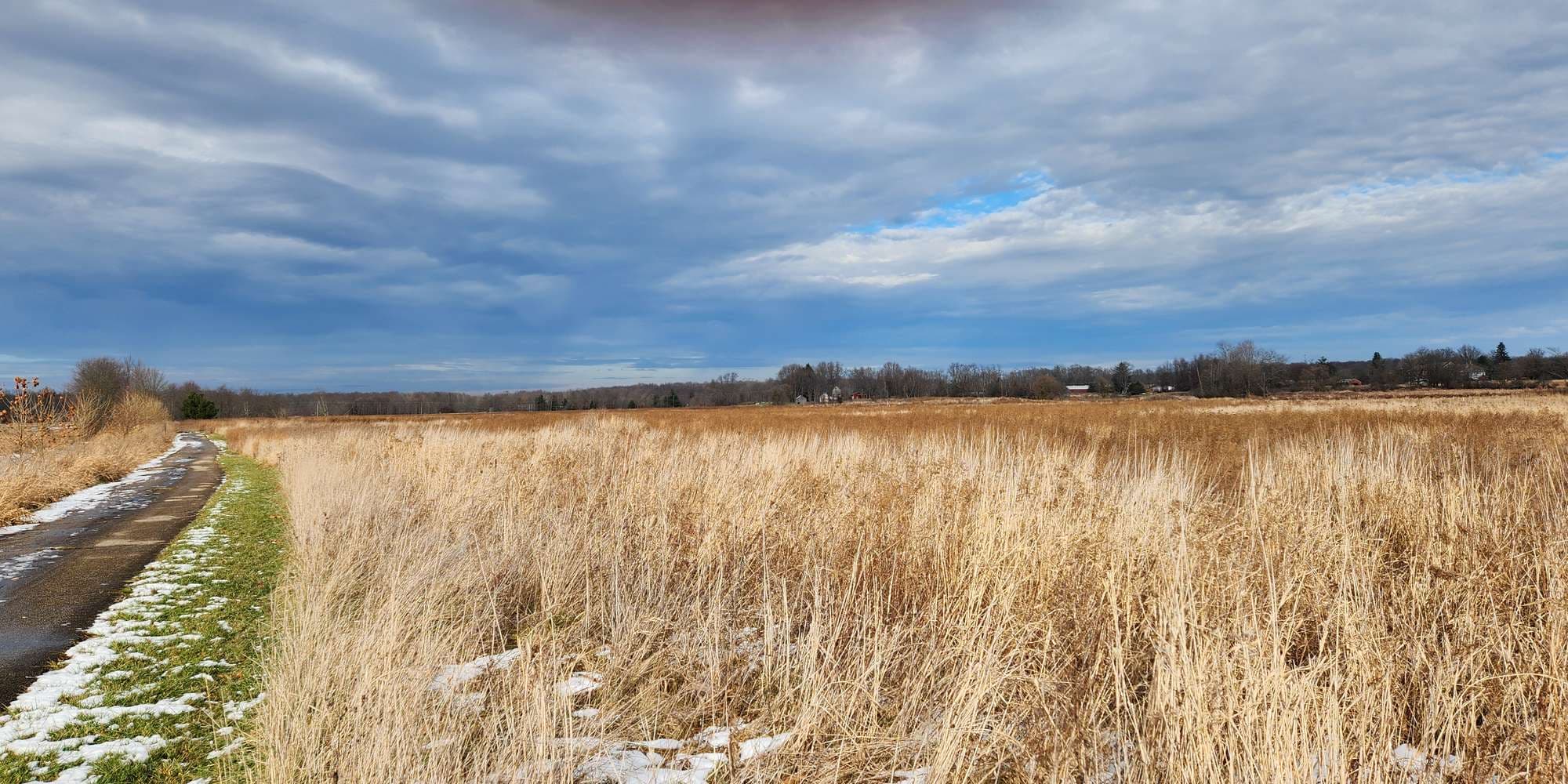 Second image to compare