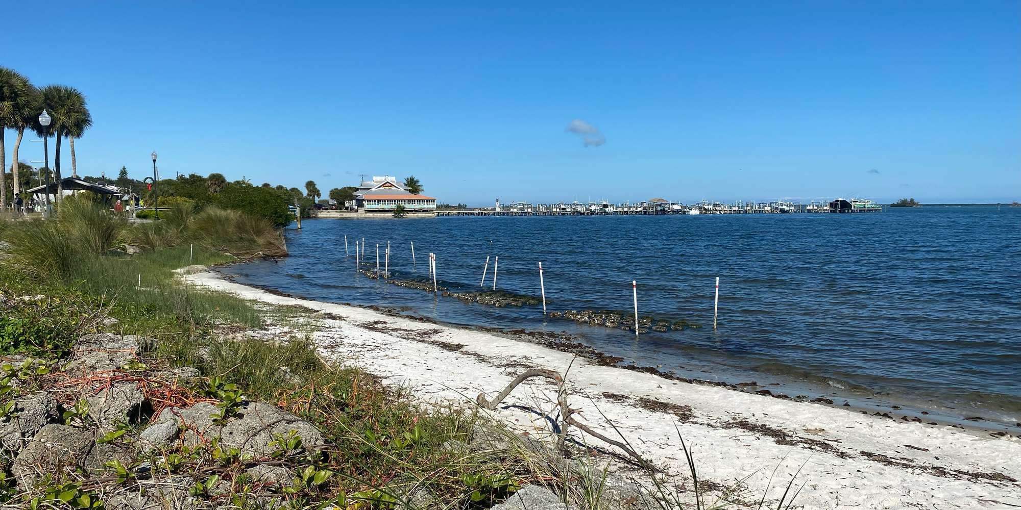 Second image to compare