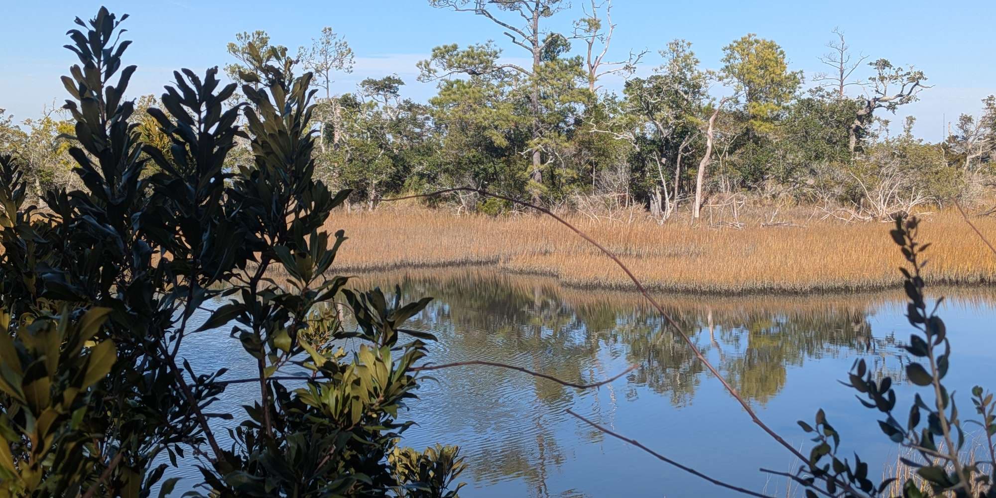 Second image to compare