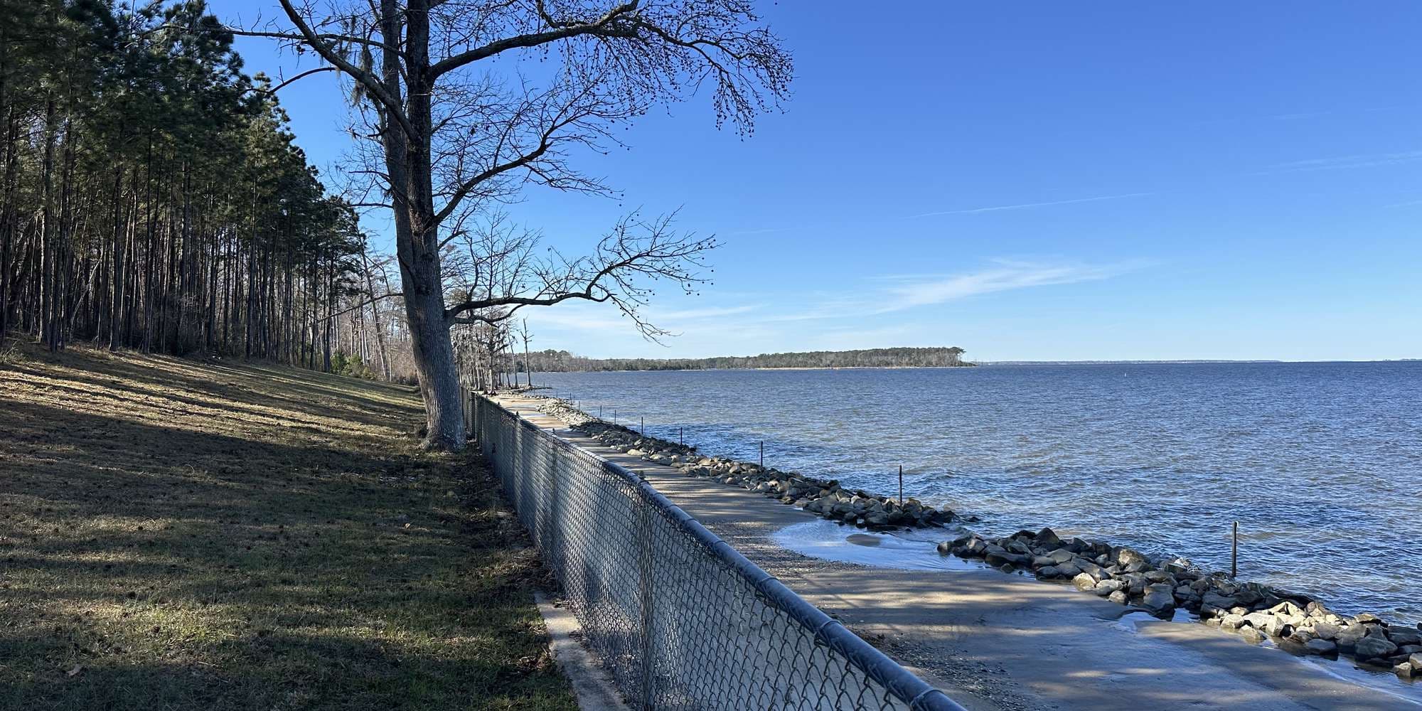 First image to compare