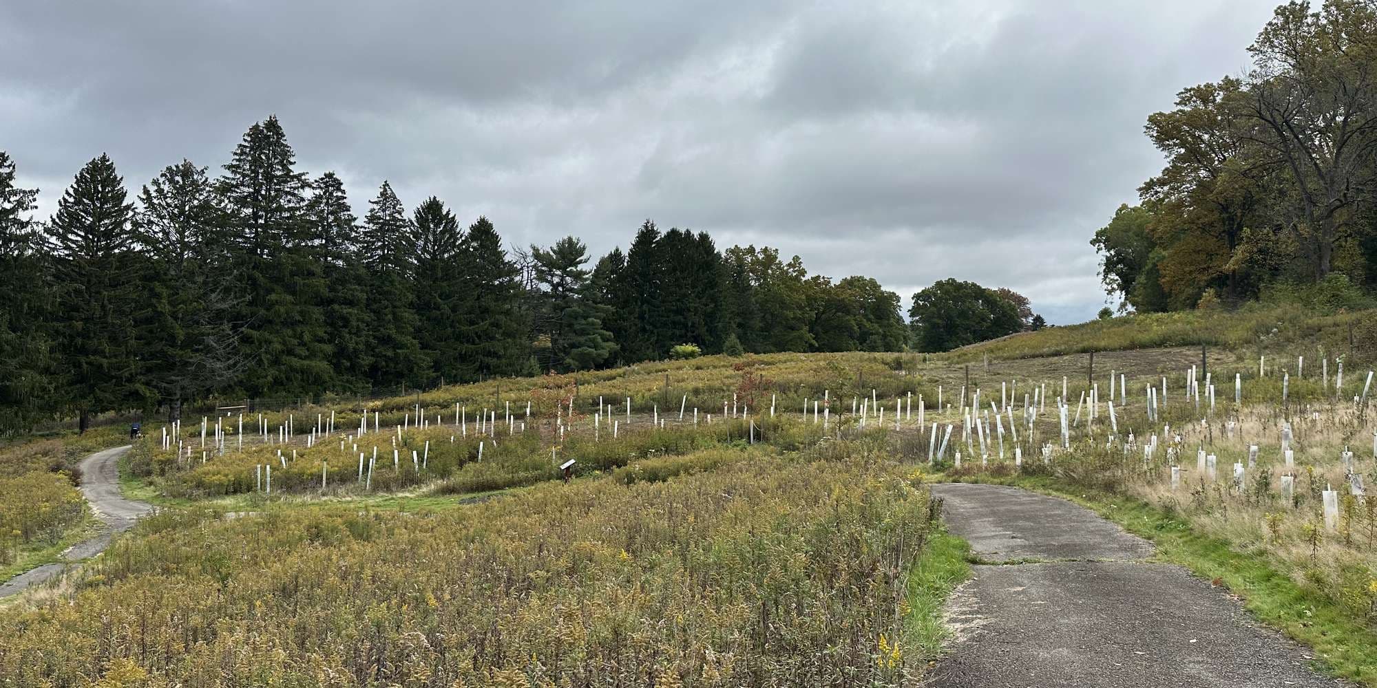 First image to compare