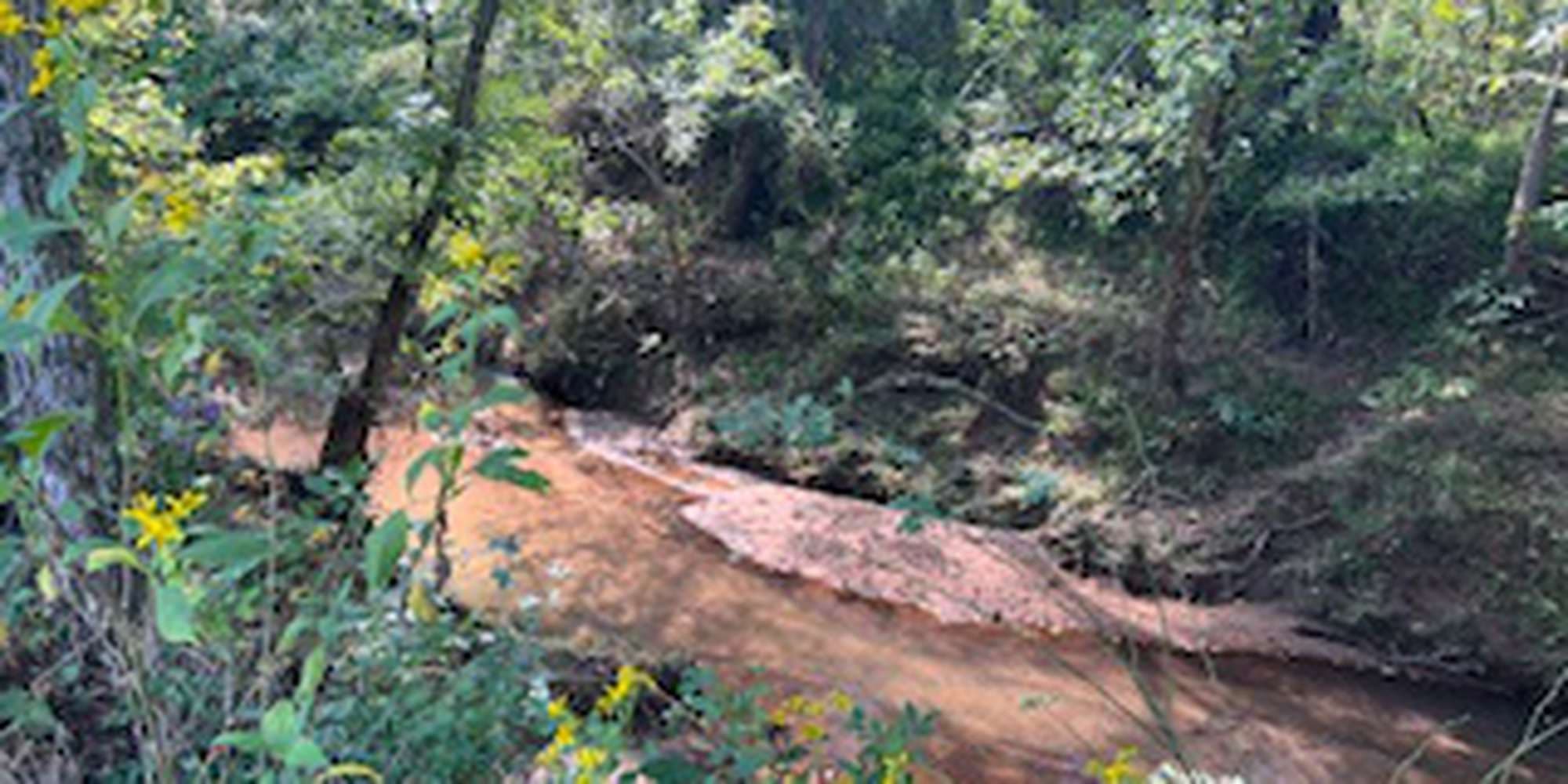 Second image to compare